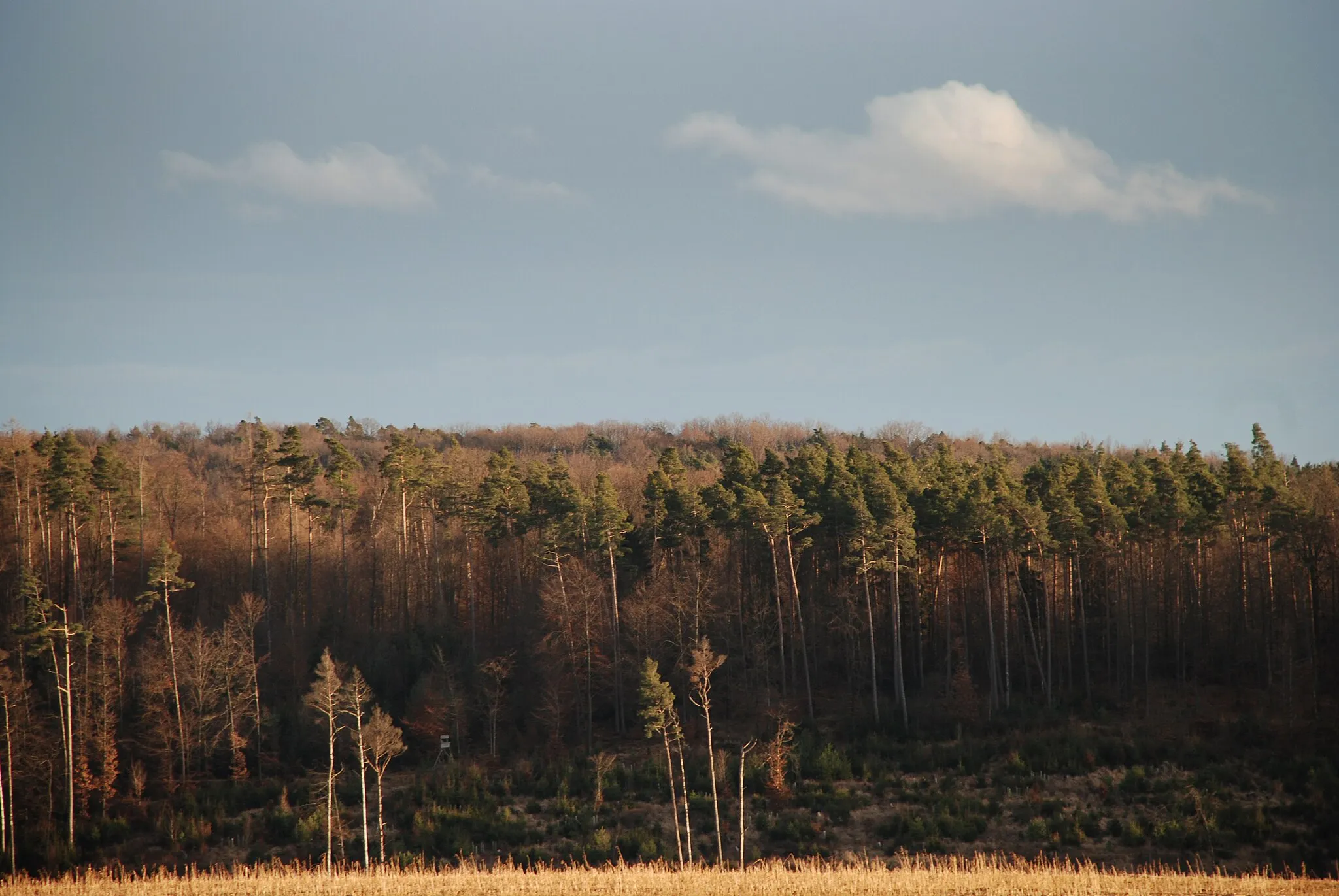 Photo showing: Felder und Wälder in Schönaich
