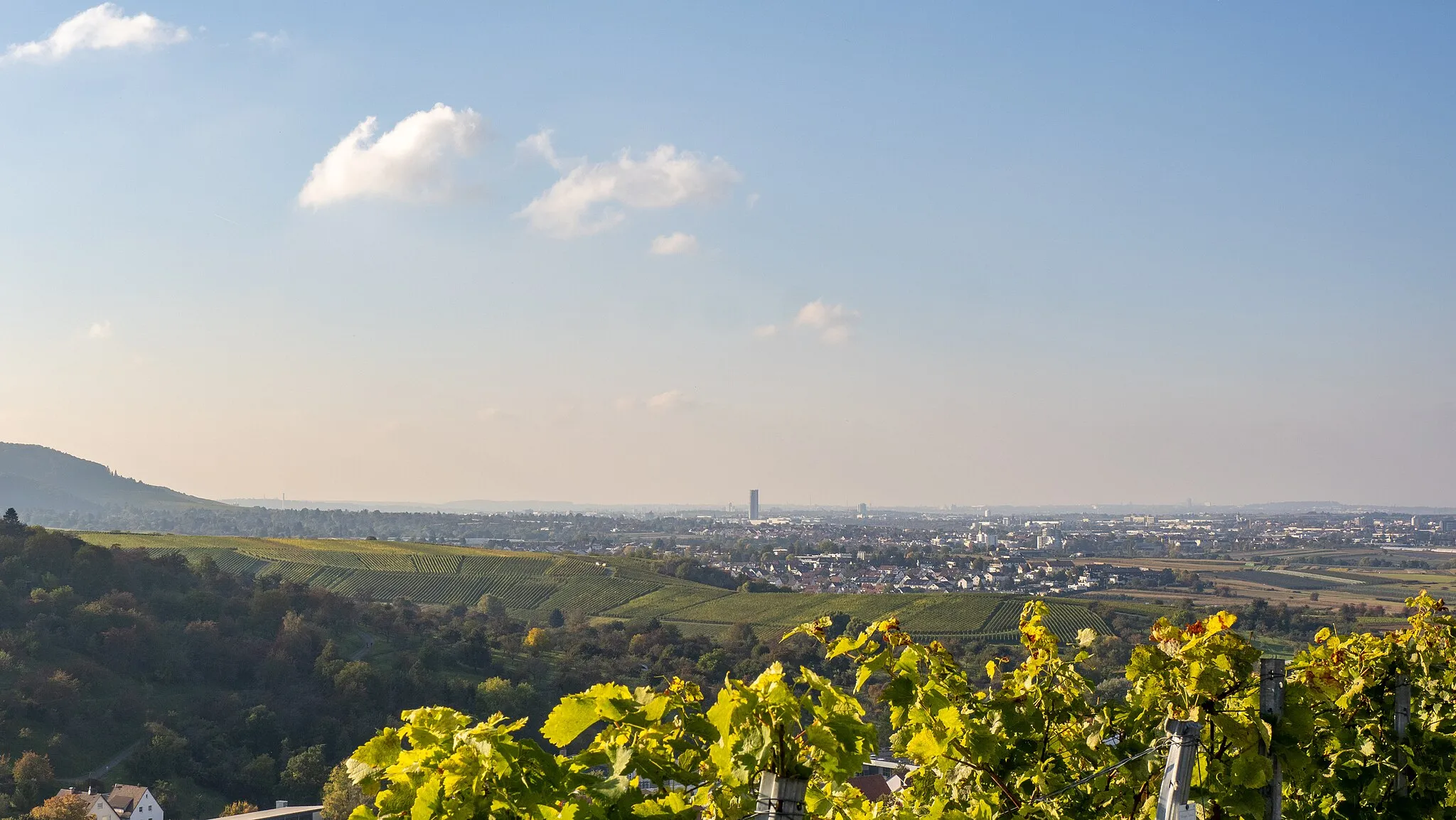 Photo showing: Fellbach from Strümpfelbach, Baden-Württemberg, Germany. The high-rise building in the center is SLT 107 Schwabenlandtower.