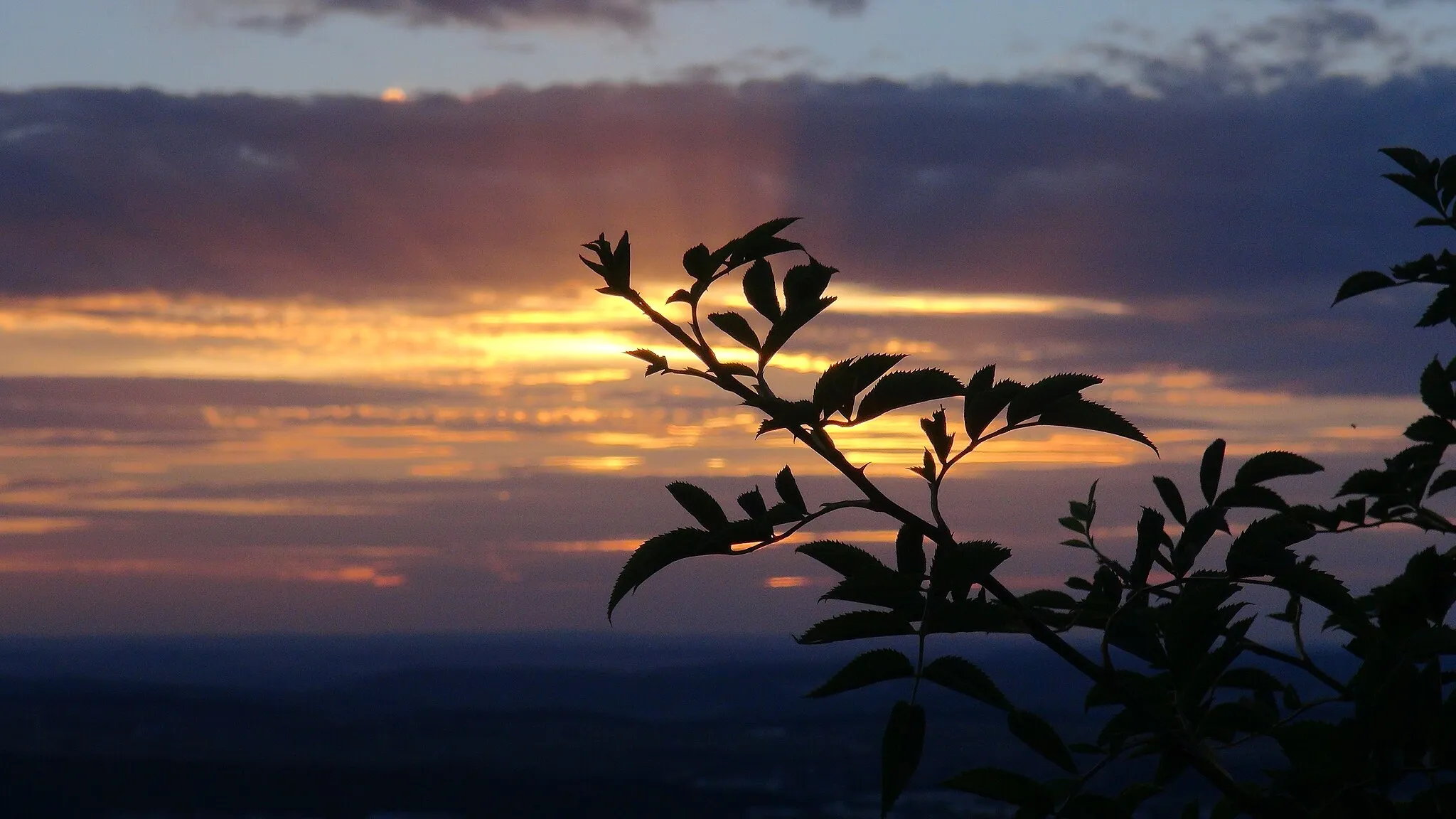 Photo showing: A sunset in Reutlingen, Germany with a twig in the foreground.