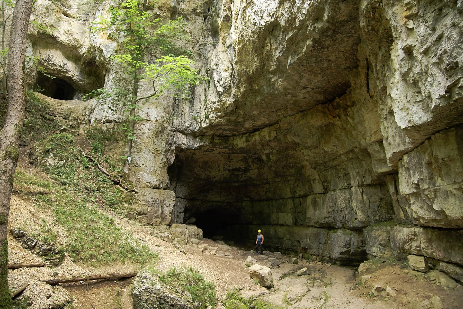 Photo showing: Falkensteiner Höhle, 4 km NE of Bad Urach, Swabian Alb.  Its portal of 10 m height documents its former relevance as a huge water cave. Today water emerges from the portal episodically only with extreme precipitation.
A tiny runnel sinks down a Ponor within the cave, 20m from the cave’s entrance and exits as brook “Elsach” not far below the portal.