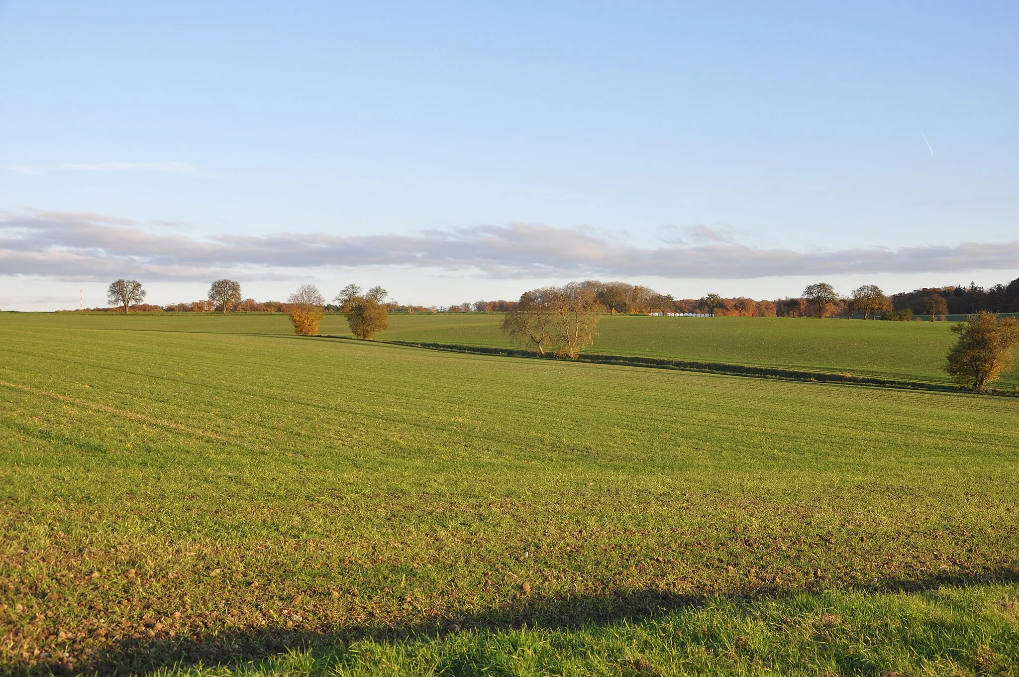 Photo showing: Blick auf Quelle und Bachlauf des Erlesbach, ein rechter Zufluss des Kochers.