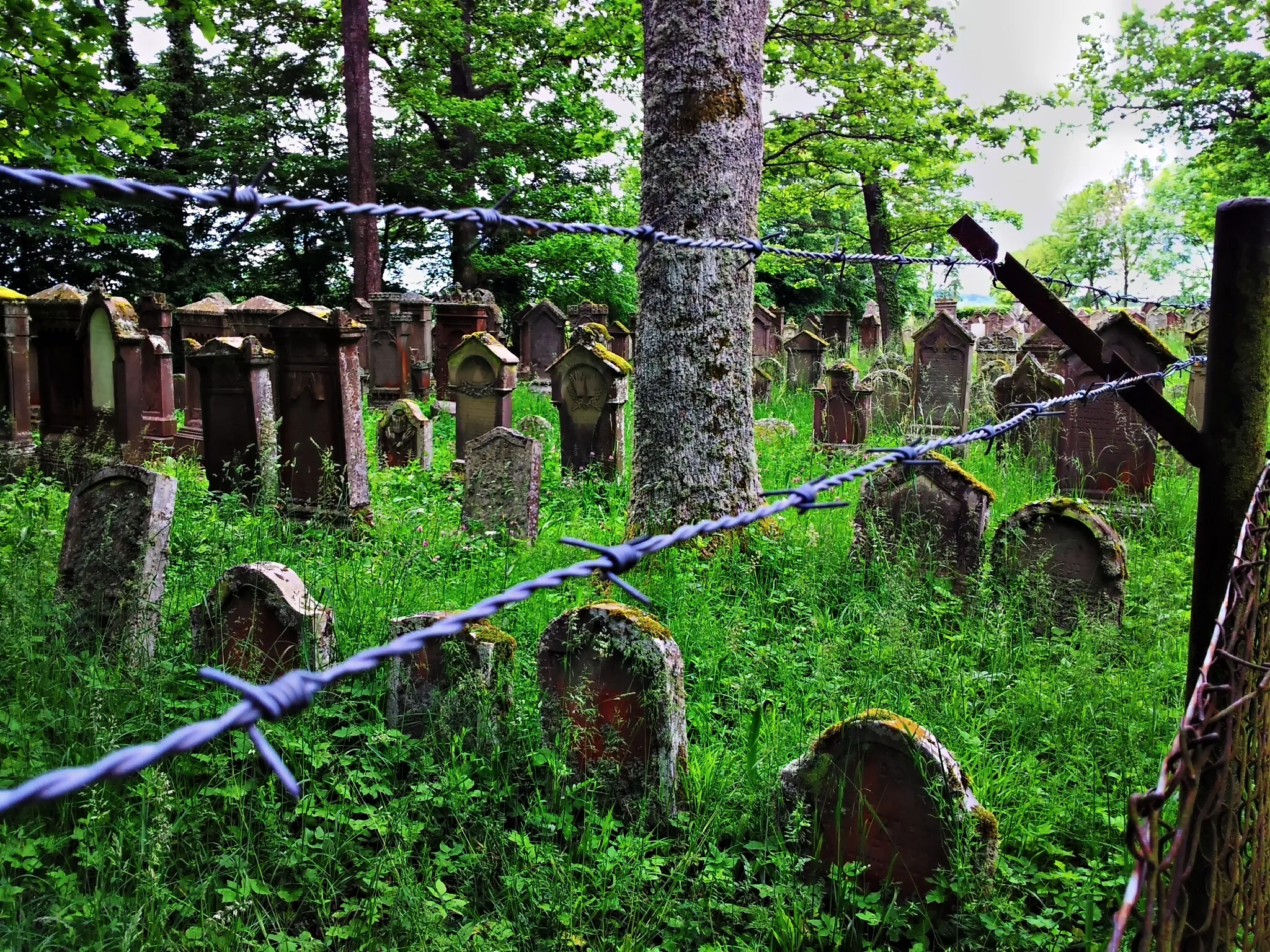 Photo showing: Jewish cemetery Baisingen (Rottenburg am Neckar), Baden-Württemberg. From 1989 on the Rottenburg administration recorded all gravestones oftt he cemetery. The “Landesdenkmalsamt” did the same for all gravestones of all Jewish cemeteries in Baden-Württemberg and turned them into protected cultural heritages.