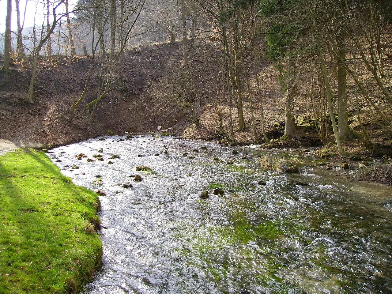 Photo showing: Karst spring Schwarzer Kocher, Schwäbische Alb, tributary of Neckar, Germany.
