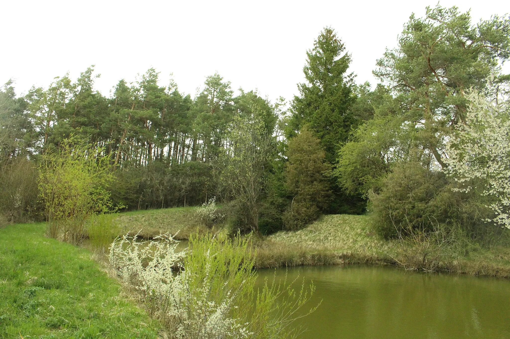 Photo showing: Die Dossinger Wette ist ein Doppel-Weiher mit Wiese, der von verschiedenen Bäumen und Sträuchern eingesäumt ist.