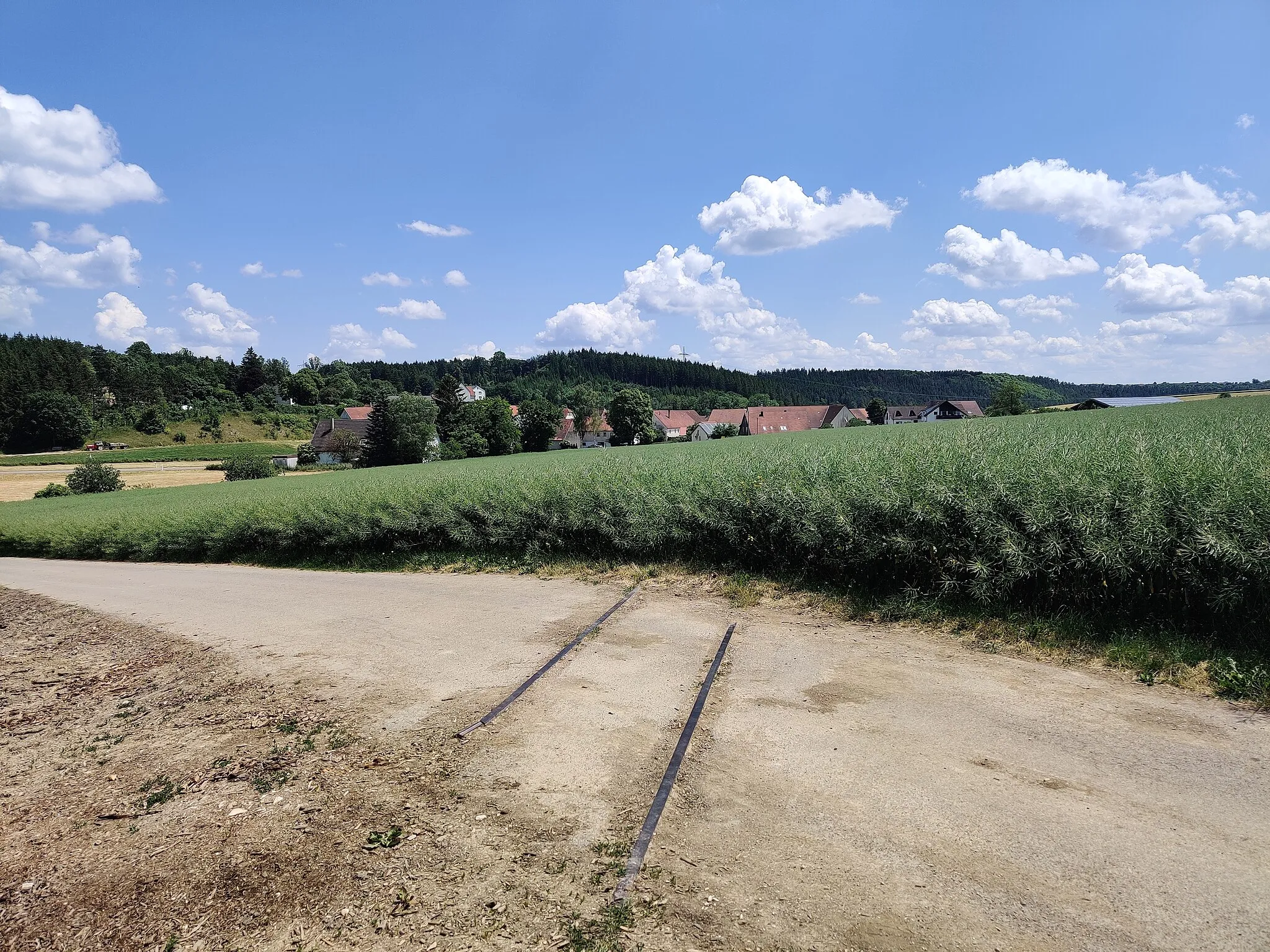 Photo showing: Dossingen von Nordwesten gesehen, mit originalen Gleisresten der Härtsfeldbahn