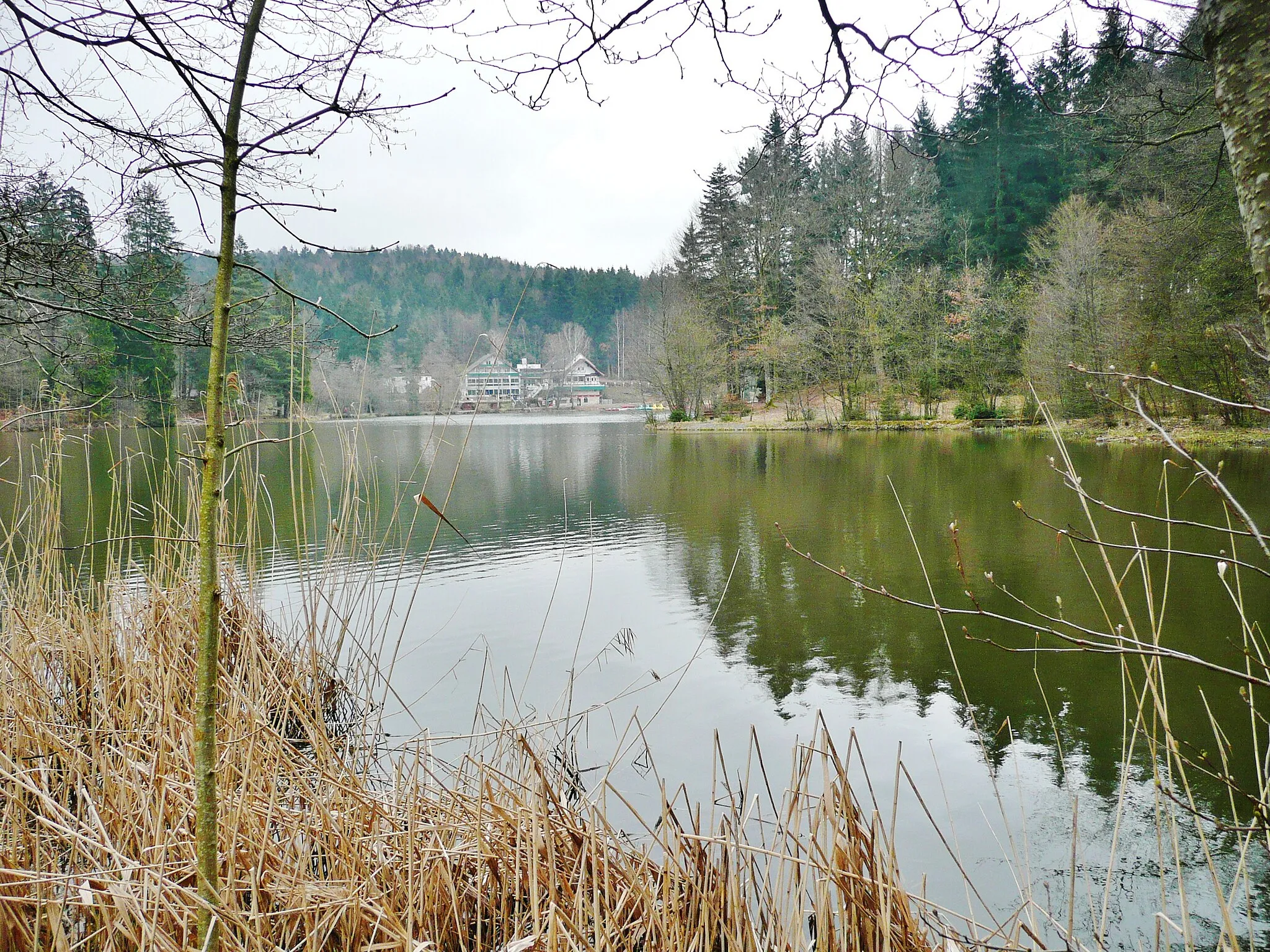Photo showing: Ebnisee