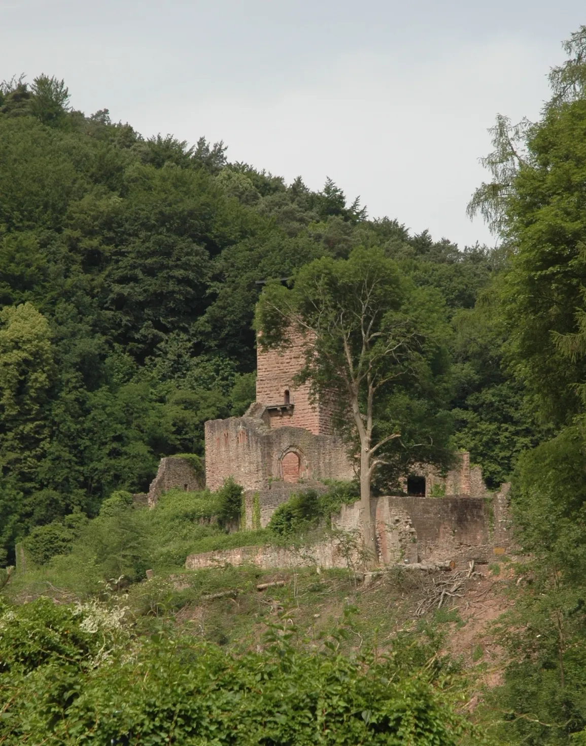 Photo showing: Hinterburg Neckarsteinach