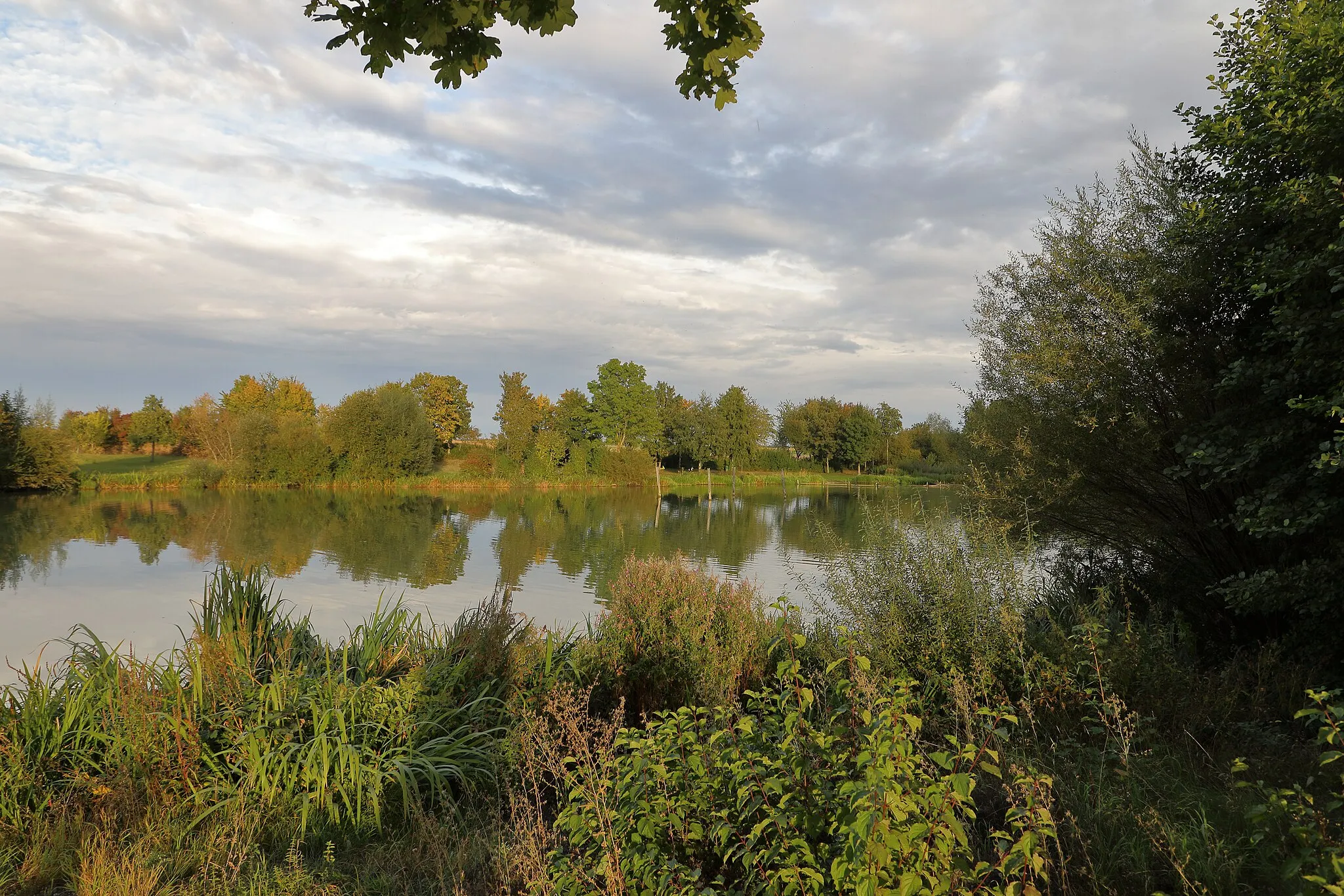 Photo showing: Der Rinderfelder See beim Niederstettener Ortsteil Rinderfeld wurde als Regenrückhaltebecken gebaut. Er ist heute ein frei zugänglicher Badesee.