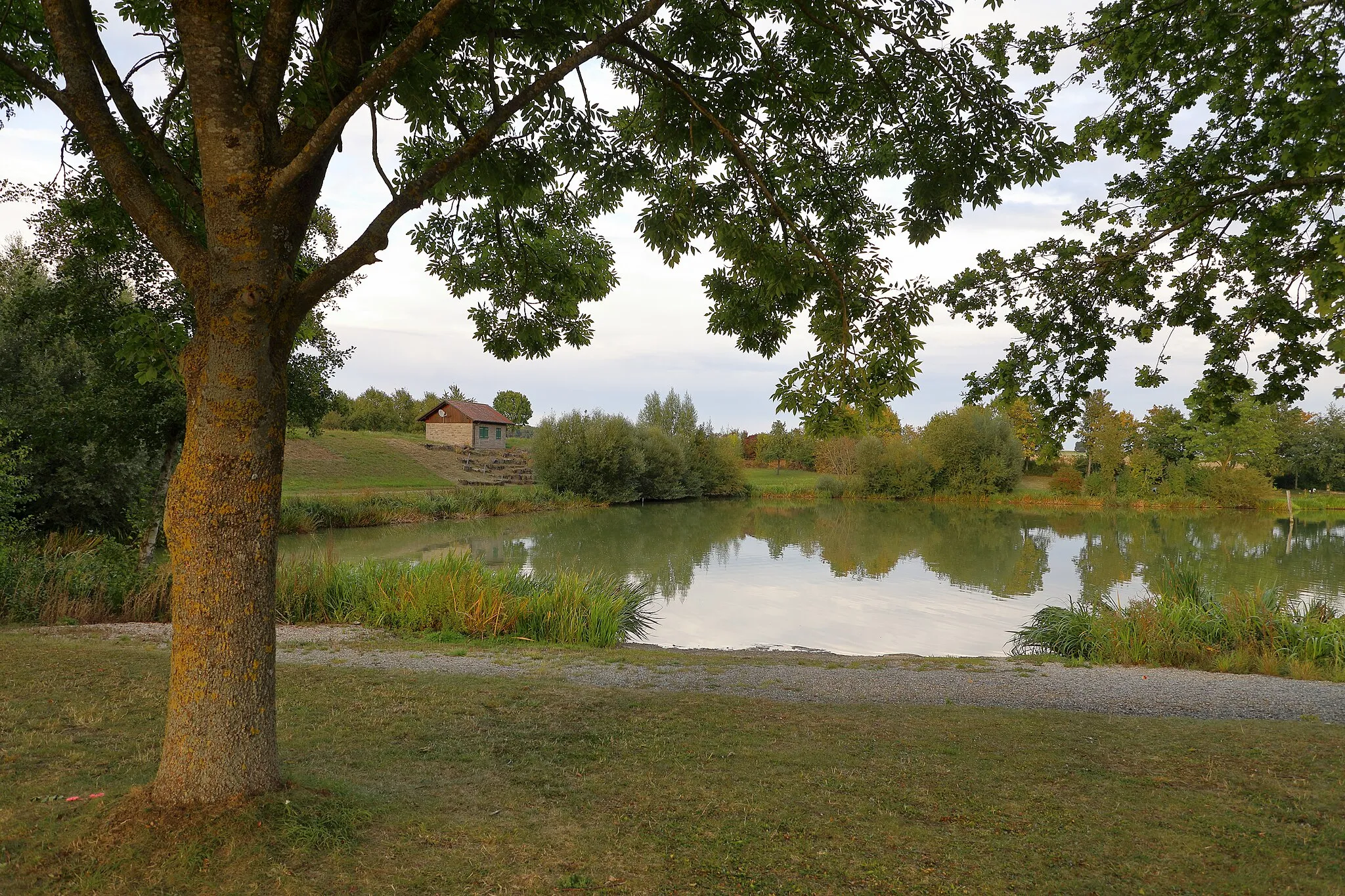 Photo showing: Der Rinderfelder See beim Niederstettener Ortsteil Rinderfeld wurde als Regenrückhaltebecken gebaut. Er ist heute ein frei zugänglicher Badesee.