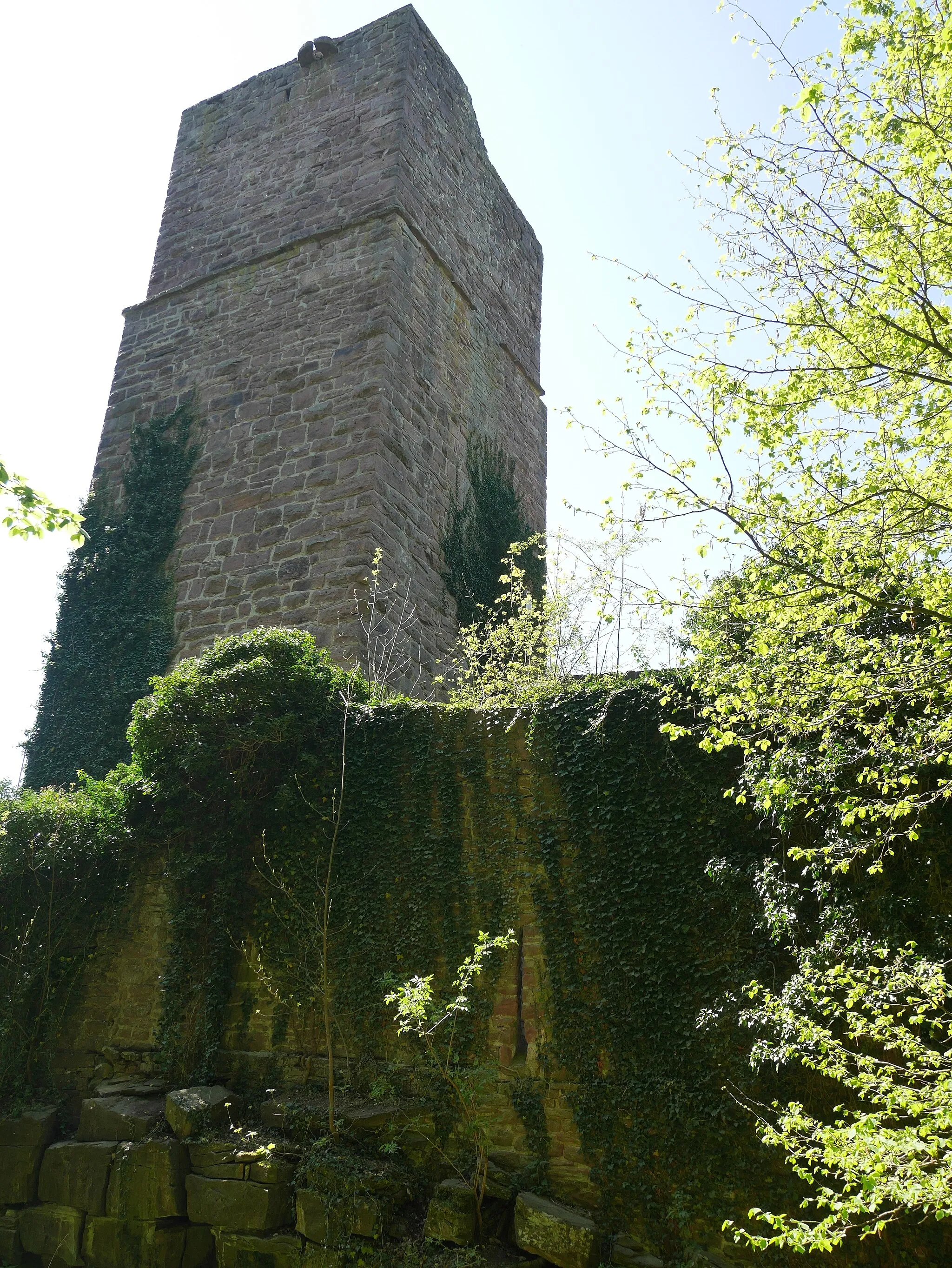 Photo showing: Burg Liebeneck (Pforzheim) Turm Wall
