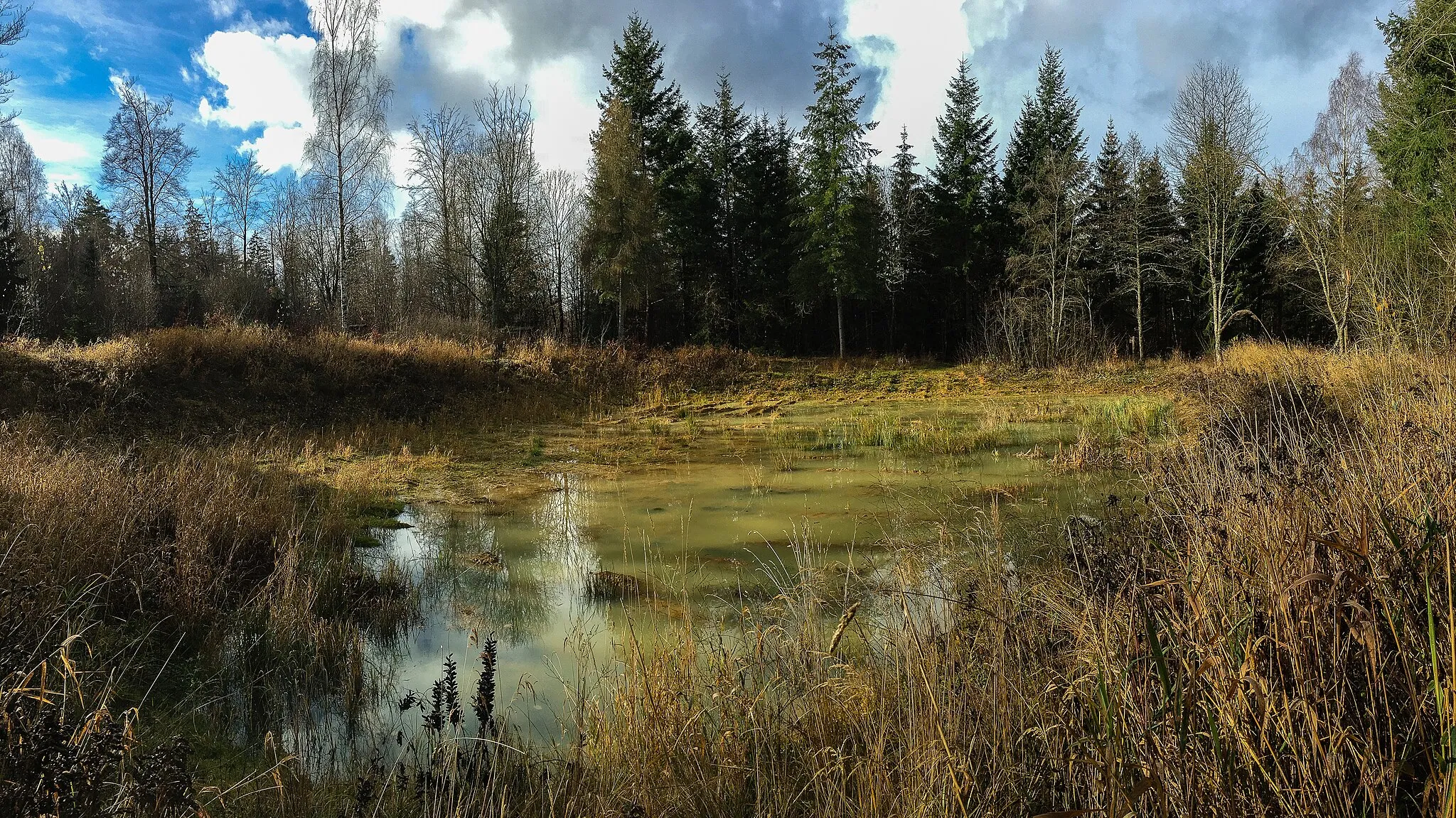 Photo showing: Sumpfgebiet im Gewann Winterhalde auf dem Moldenberg bei Heidenheim-Schnaitheim.