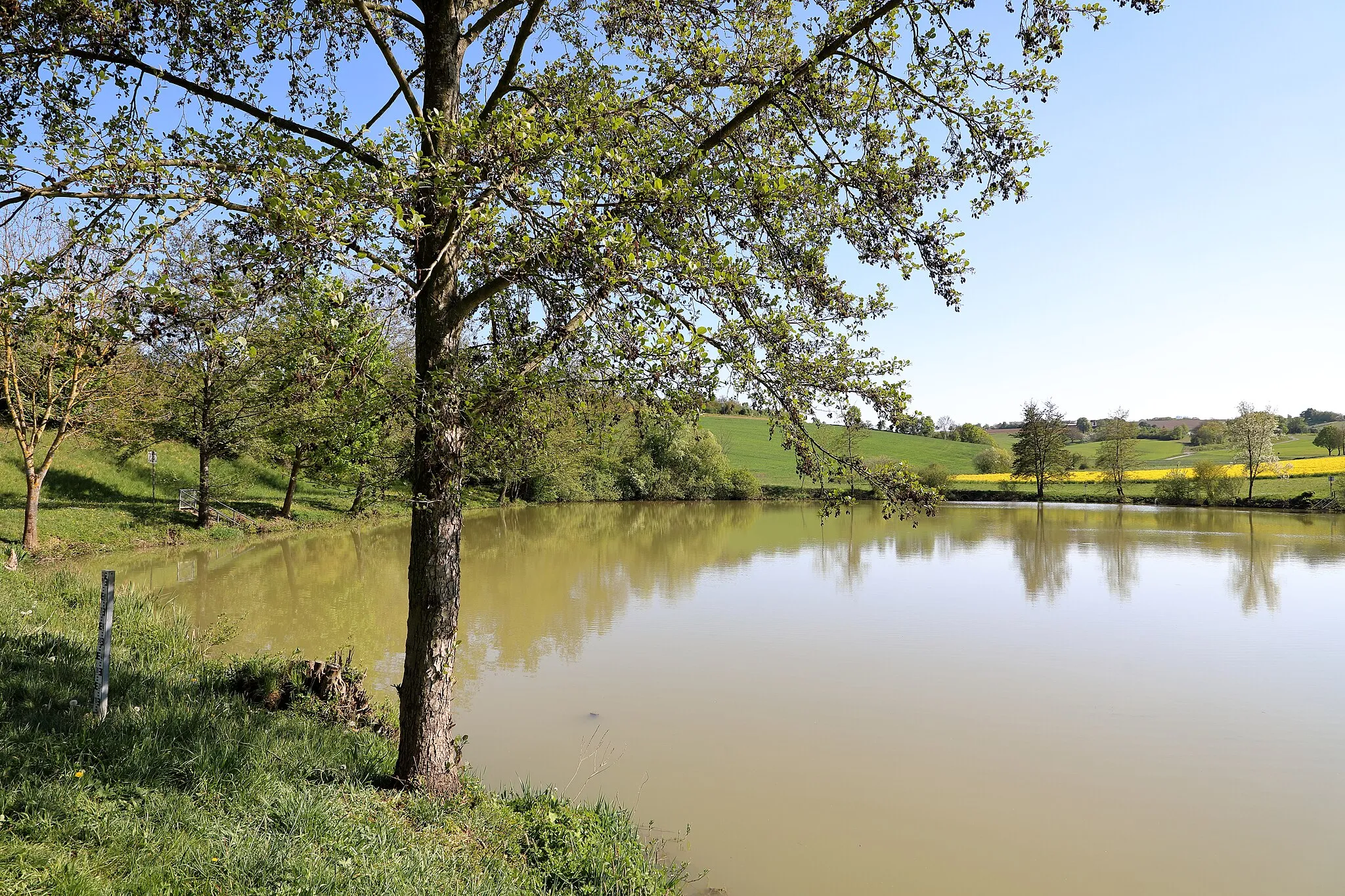 Photo showing: Der Hachteler See beim Bad Mergentheimer Ortsteil Hachtel im Frühjahr.