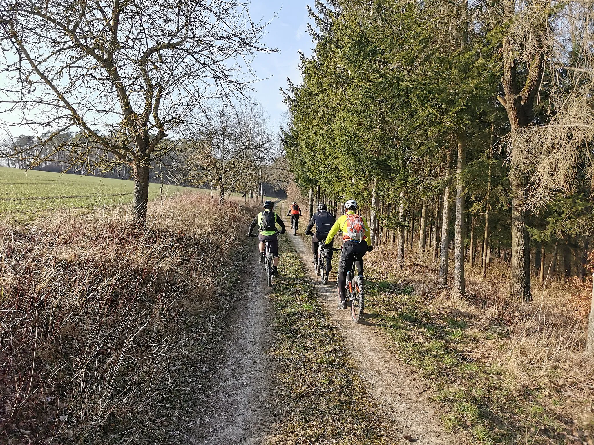 Photo showing: 2022-03-12 Mountainbike-Tour in Seitentälern des Taubertals
