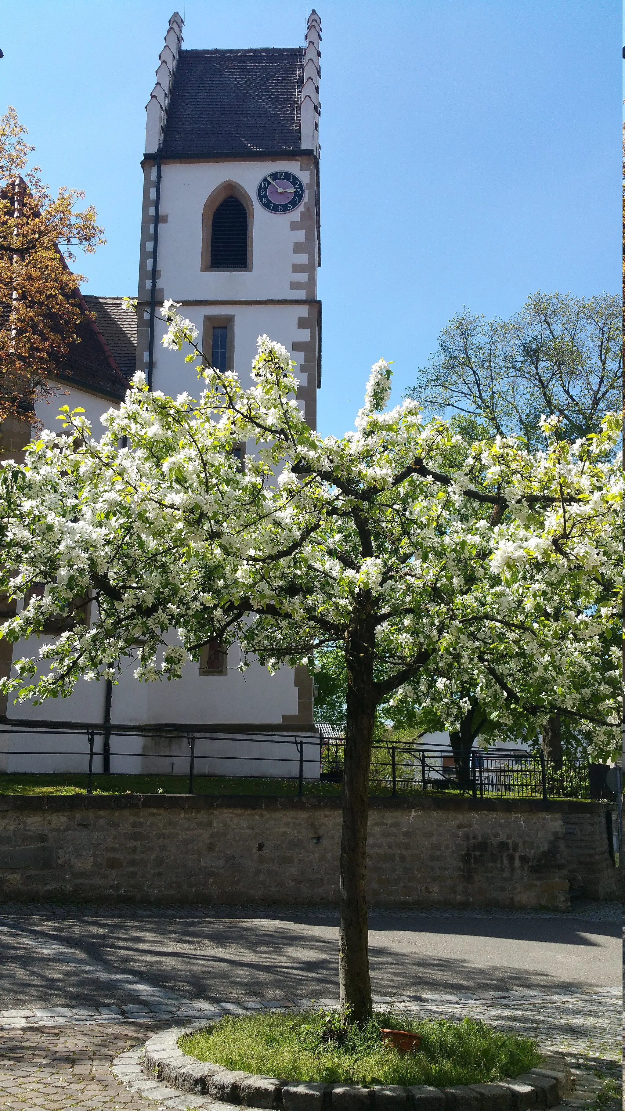 Photo showing: Georgskirche in Steinheim an der Murr, Ortsteil Kleinbottwar, aus dem 15. Jahrhundert im spätgotischen Stil.