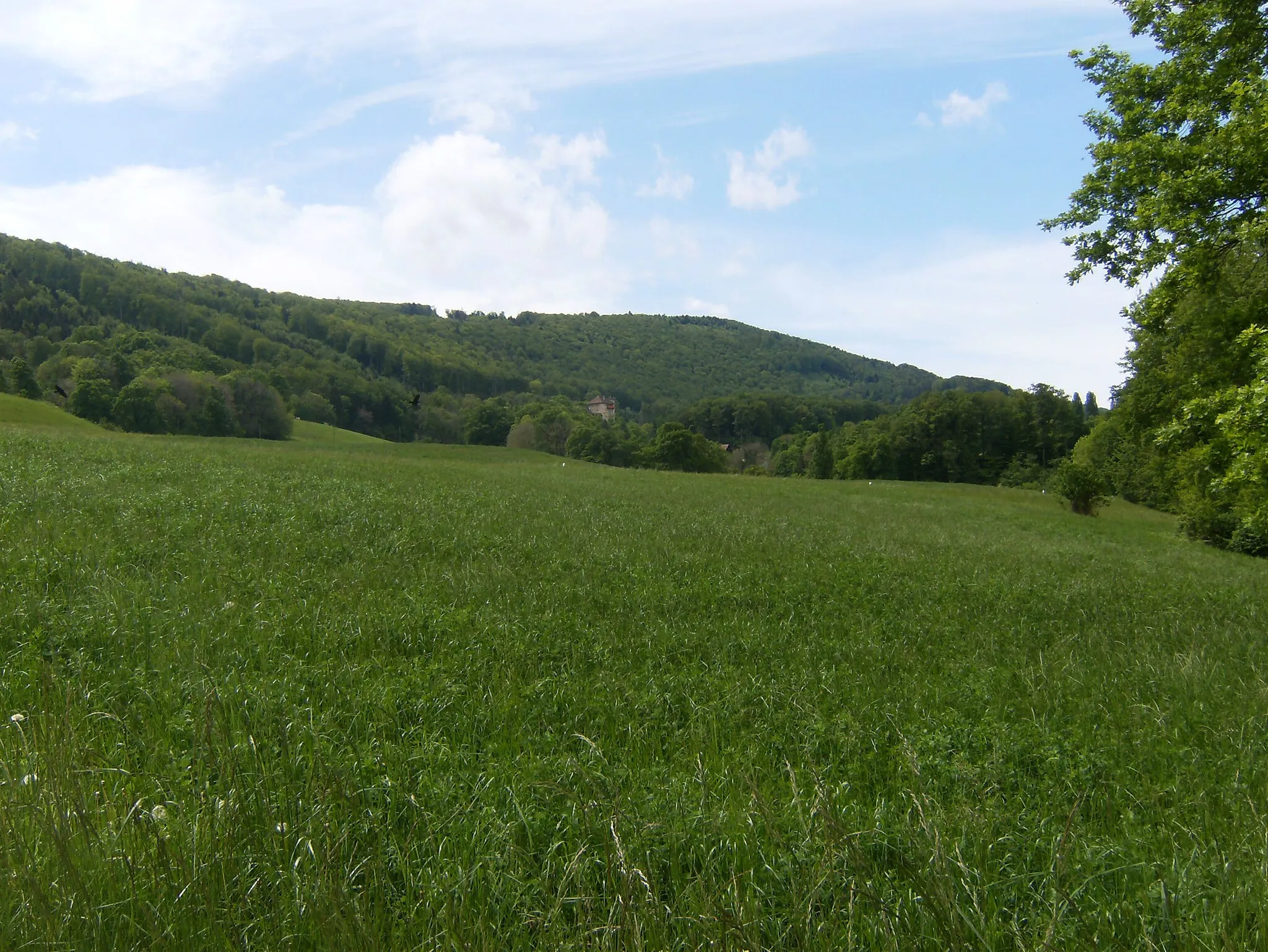 Photo showing: Burg Rotberg SO