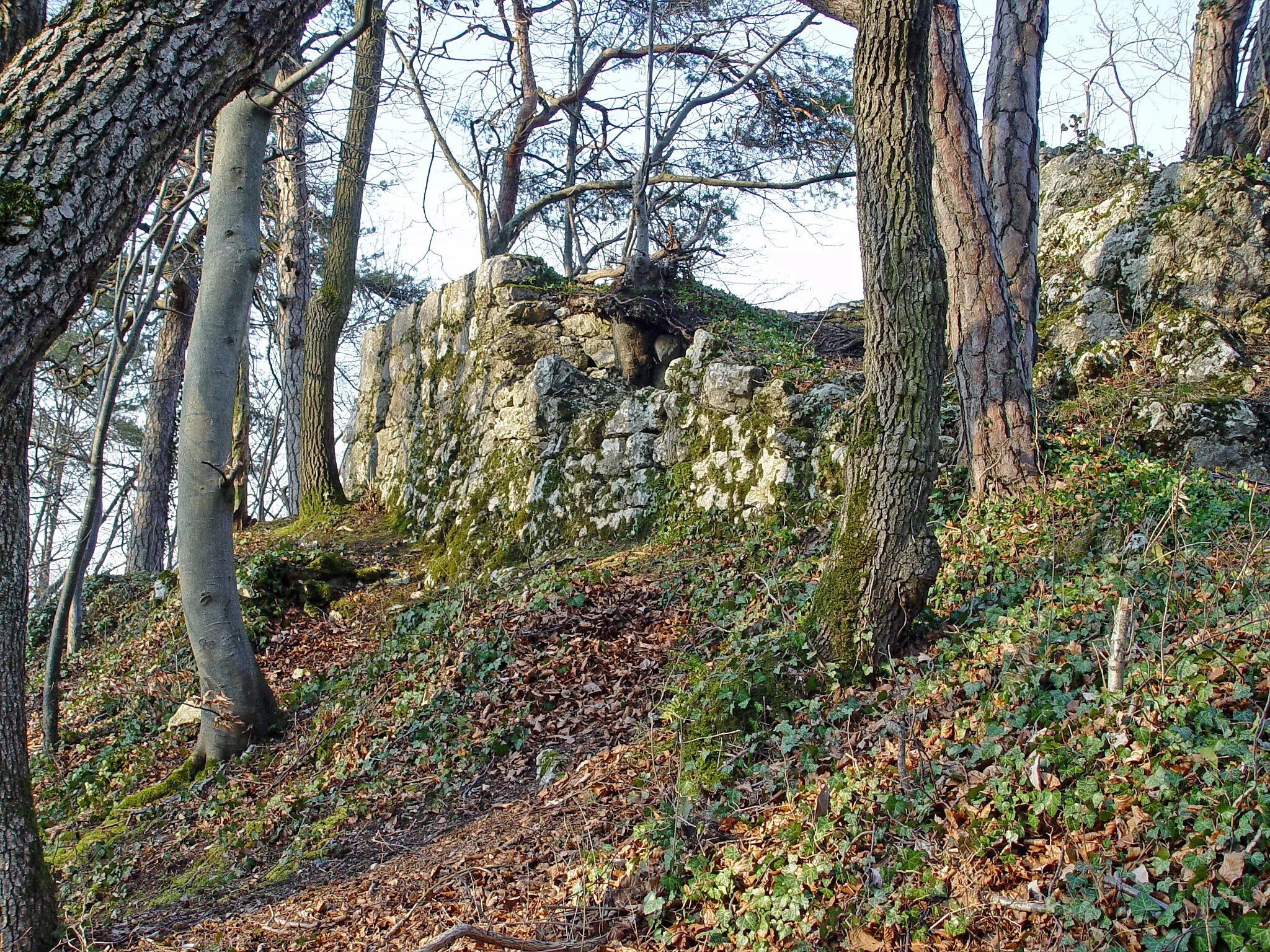 Photo showing: Kaum erhaltene Ruine von Münchsberg