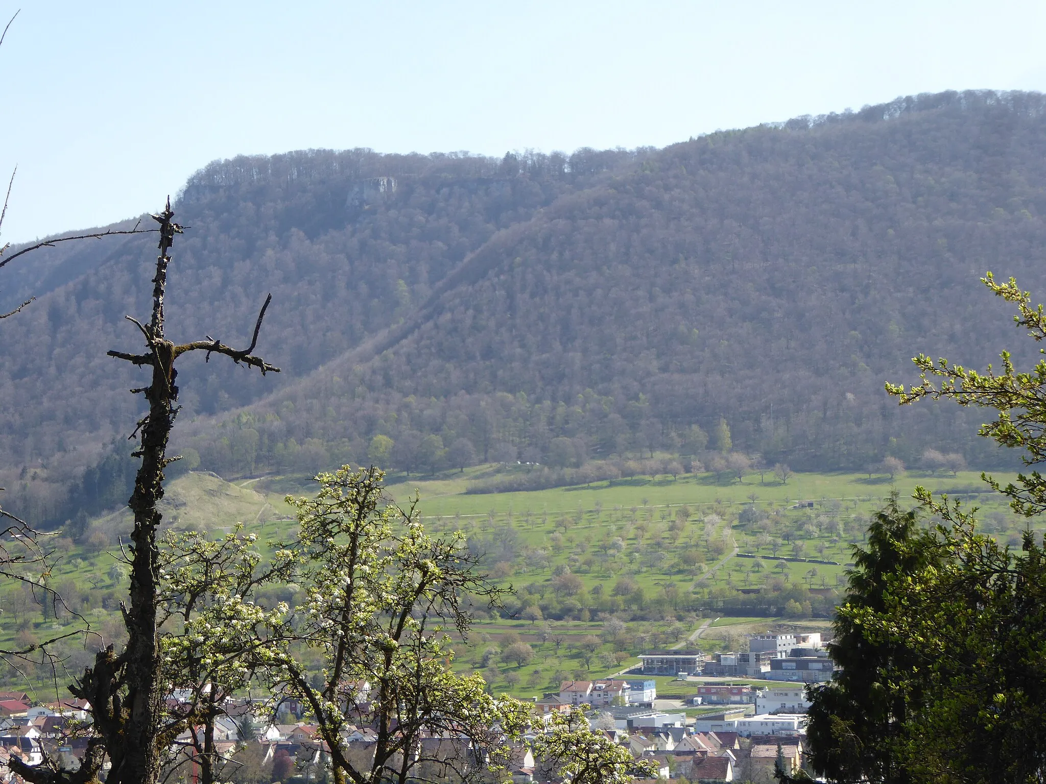 Photo showing: Blick vom Naturdenkmal Vogelschutzgehölz Benedikten über das Ermstal nach Süden zum Albtrauf mit folgenden Schutzgebieten:
Oberes Bilddrittel Traufkante Links: Naturschutzgebiet Rutschen bis rechts daneben zum Geotop und Naturdenkmal Alter Sonnenfels. Die gesamten Waldgebiete gehören sowohl zum FFH-Gebiet Uracher Talspinne als auch zum Europäischen Vogelschutzgebiet Mittlere Alb.

Mittleres Bilddrittel links: Geotop und Naturdenkmal Calver Bühl, direkt anschließend in der Bildmitte am unteren Waldsaum das Naturdenkmal Lindenallee Ost. All das bisherige ohne das NSG und das Siedlungsgebiet von Dettingen an der Erms, dafür aber noch zusätzlich mit  mit den Streuobstwiesen aus dem unteren Bilddrittel liegt im Landschaftsschutzgebiet Reutlinger und Uracher Alb. Der gesamte Bildauschnitt wiederum liegt im Biosphärengebiet Schwäbische Alb.