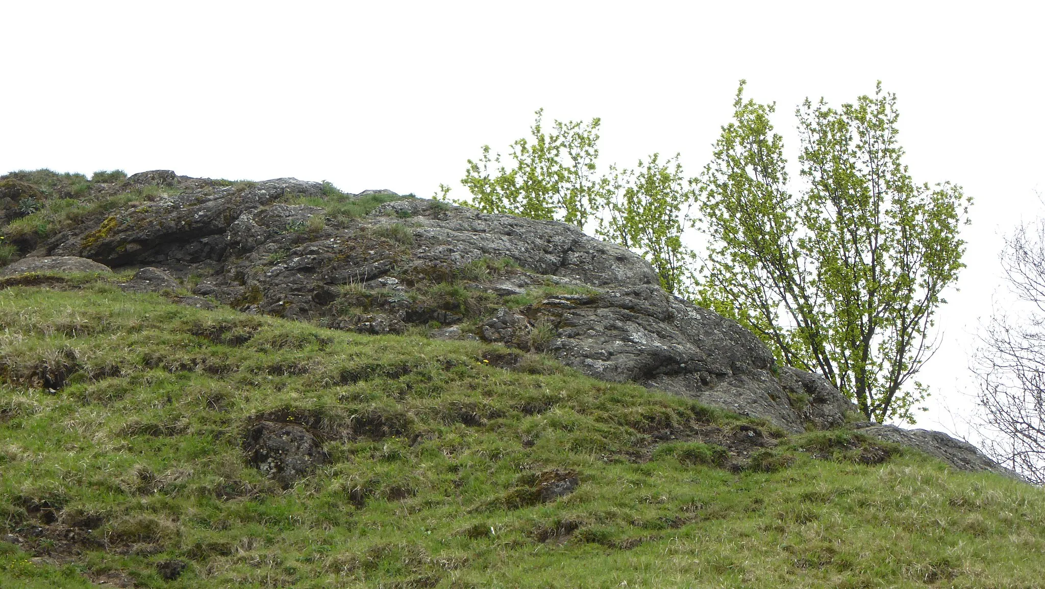 Photo showing: Der Calver Bühl ist als ehemaliger Vulkanschlot ein 1,1 ha großes Geotop und Naturdenkmal bei Dettingen an der Erms. 
Der ca. 100 m im Querschnitt messende Hügel mit einer Linde auf dem Top ragt als Härtling aus den umgebenden weicheren Schichtendes obersten Mitteljura. Der Tuff enthält zahlreiche Lapilli aus olivinmelilithischem Gestein in einer karbonatischenGrundmasse. Die gipfelnahen entblößten Tuffbereiche weisen eine ausgeprägte Blitzschlagmagnetisierung auf.