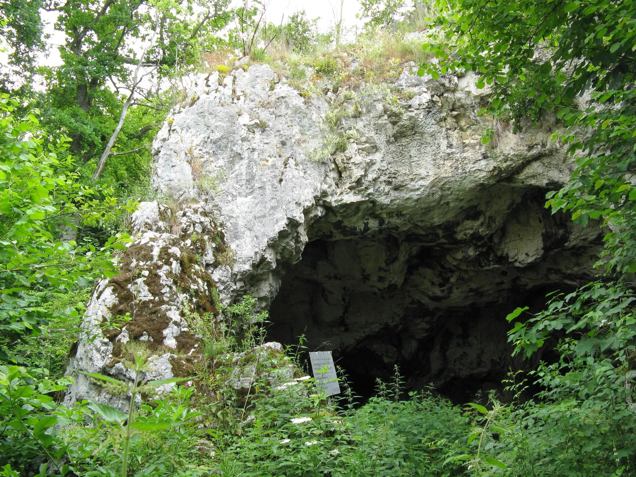 Photo showing: Die Bocksteinhöhle im Lonetal, Süddeutschland