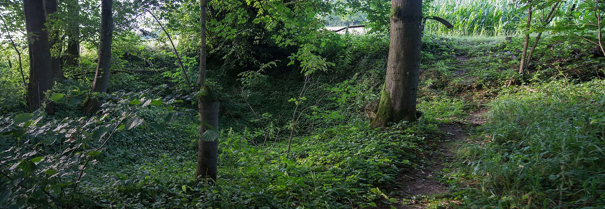 Photo showing: Die Hegenichdolinen am nördlichen Eingang des Dolinenlehrpfads