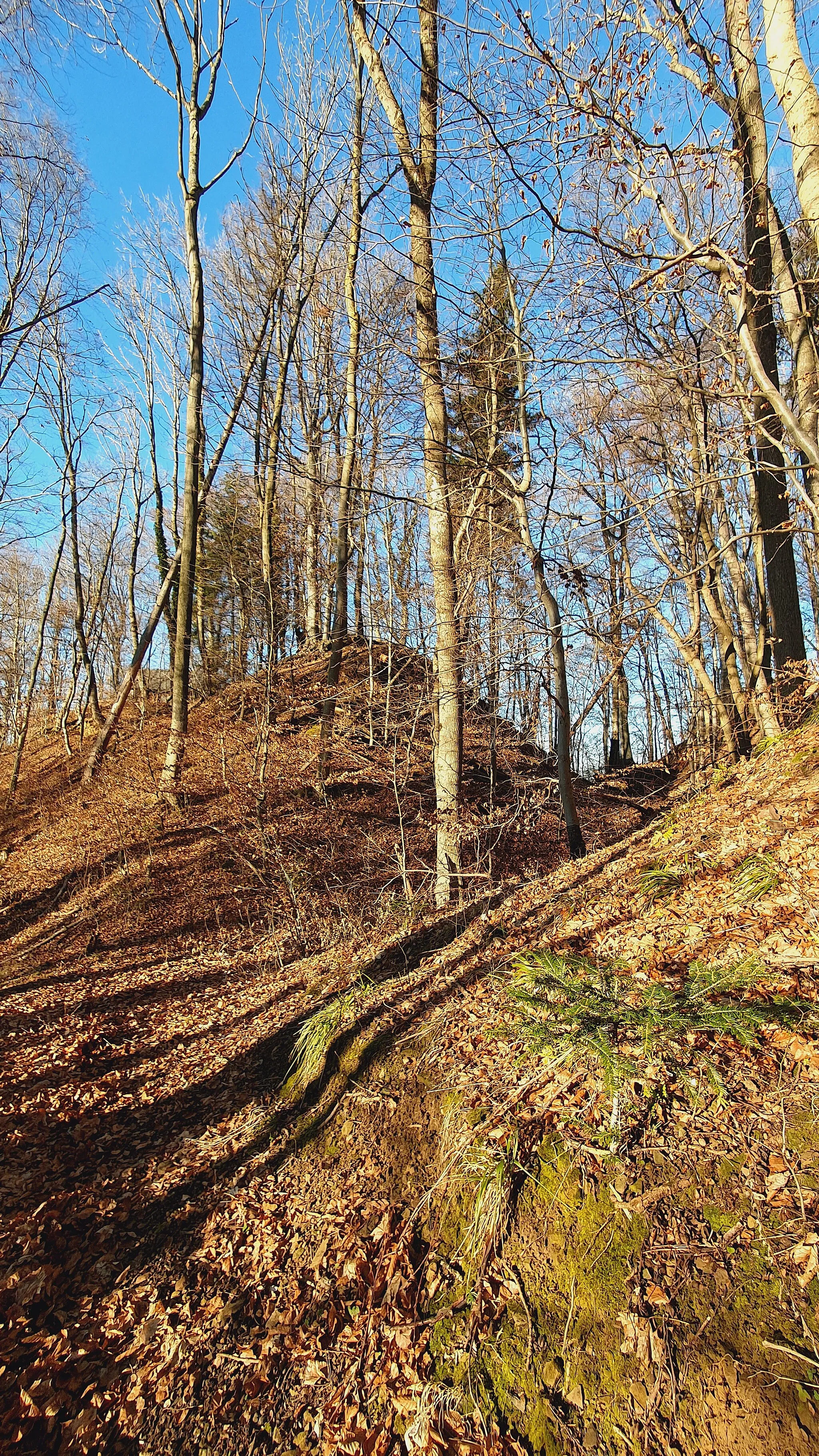 Photo showing: Castle Oberrommental, moat.