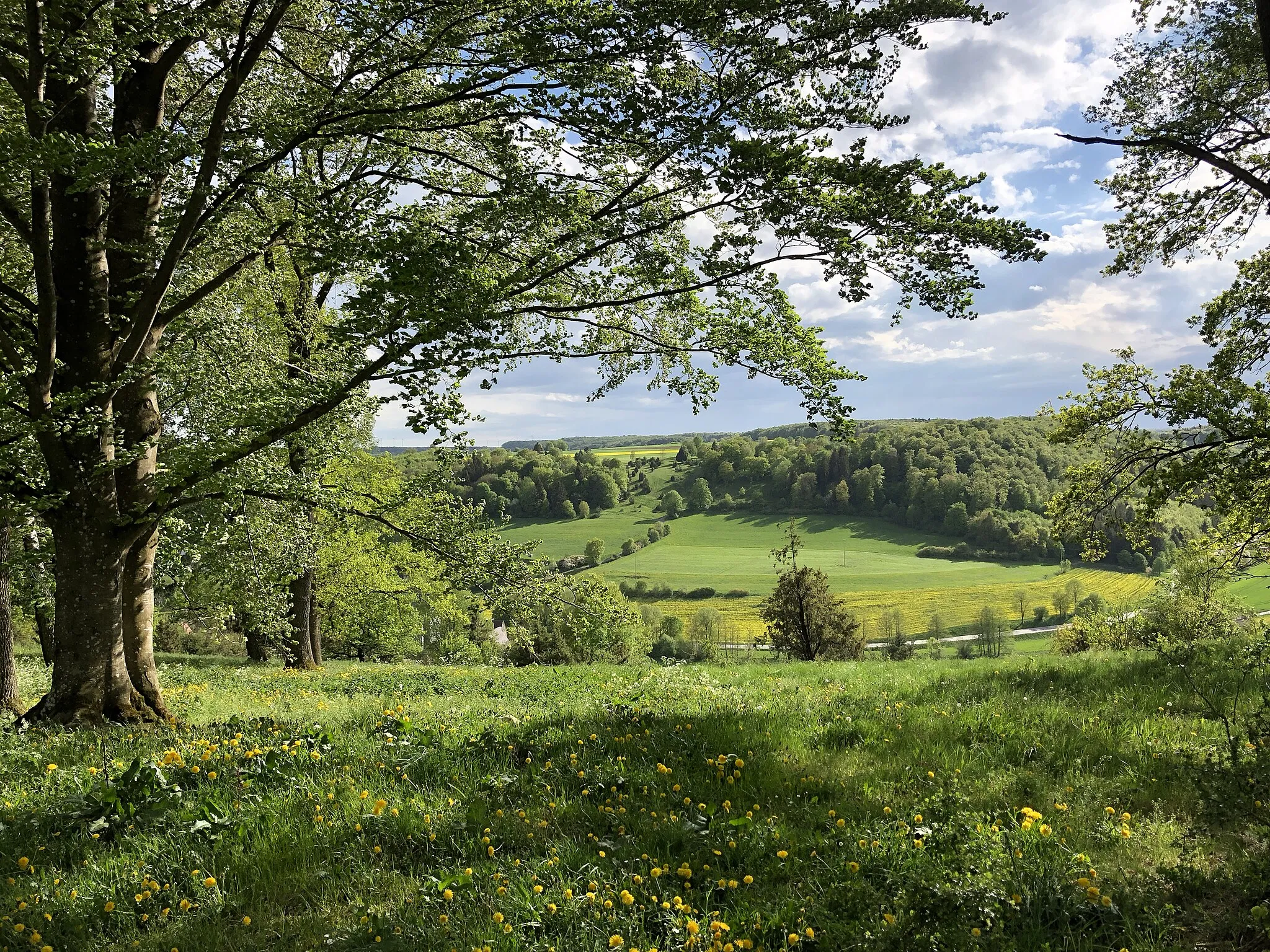 Photo showing: Blick über das Naturschutzgebiet "Salenberg" hinüber zum Naturschutzgebiet "Heiden in Lonsee und Amstetten" im Frühling 2018
