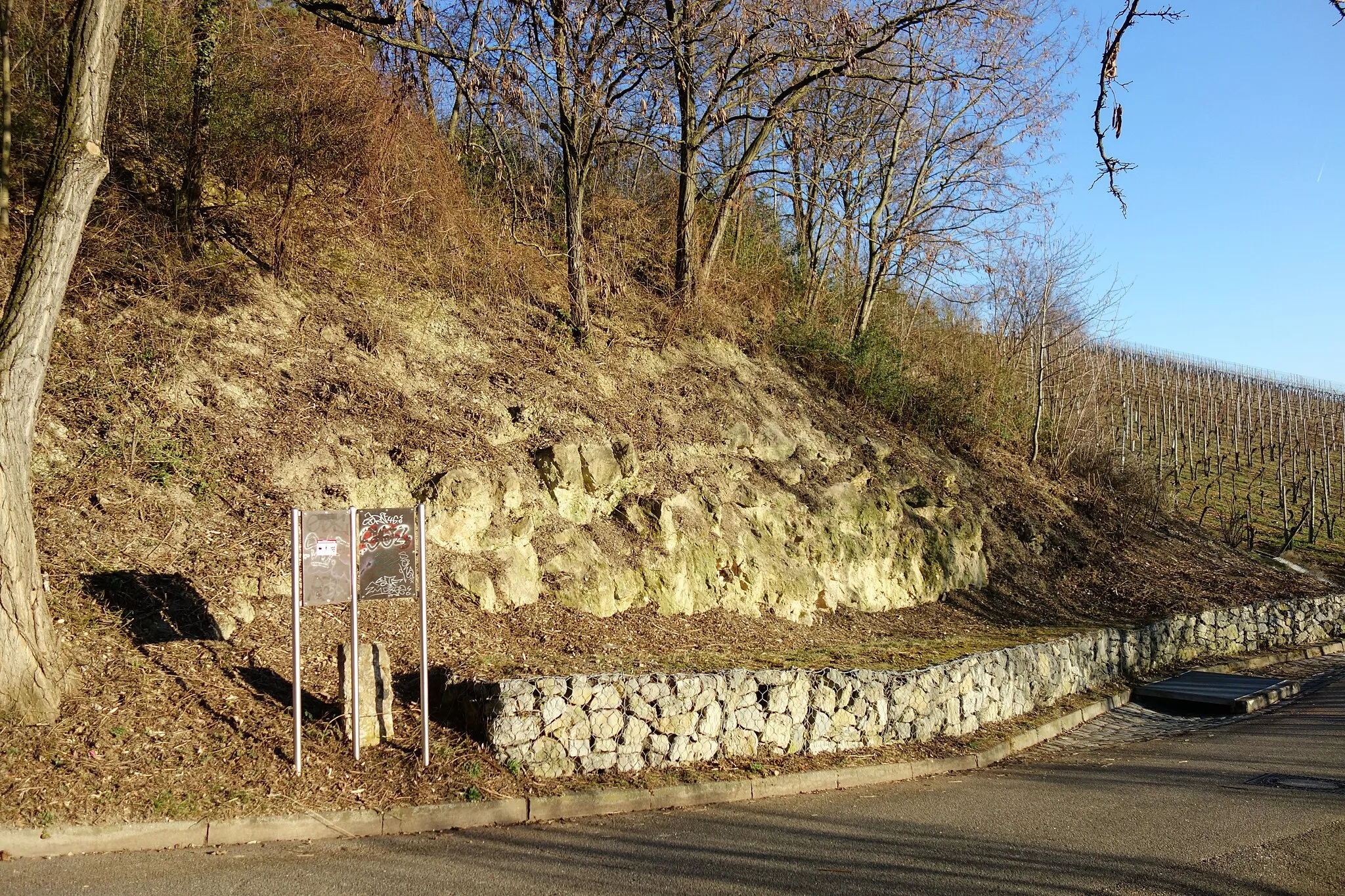 Photo showing: Naturdenkmal "Erdgeschichtlicher Aufschluss an der Grenze Muschelkalk/Lettenkeuper Nähe Einsteinstraße".
