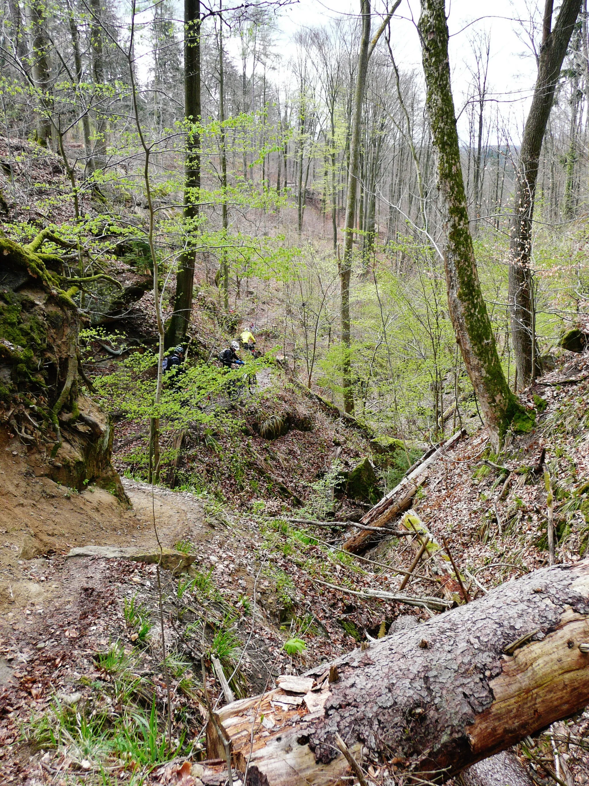 Photo showing: Schwäbisch-Fränkischer Wald: Bodenbachschlucht