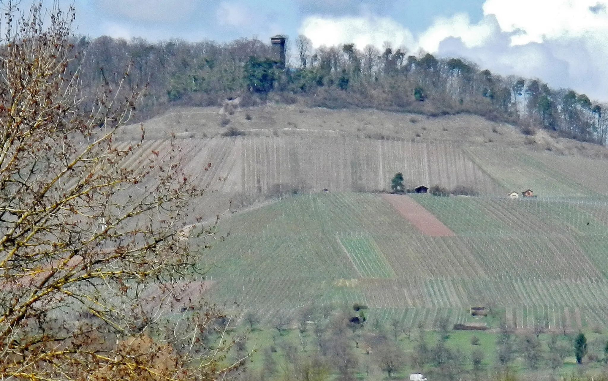 Photo showing: Blick zum Eselsburgturm