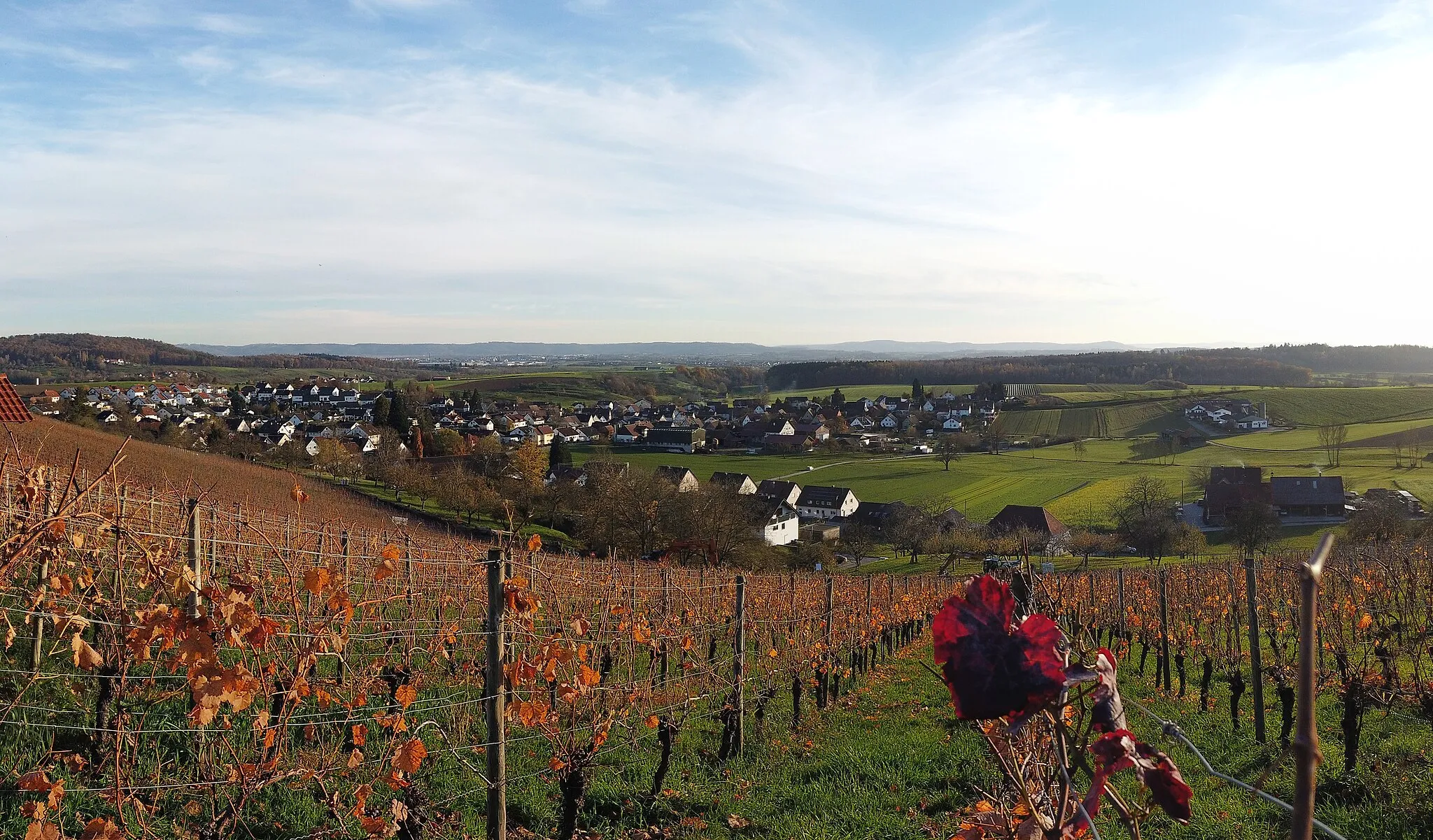 Photo showing: Allmersbach am Weinberg, vom Weinberg aus nordwestlicher Richtung gesehen