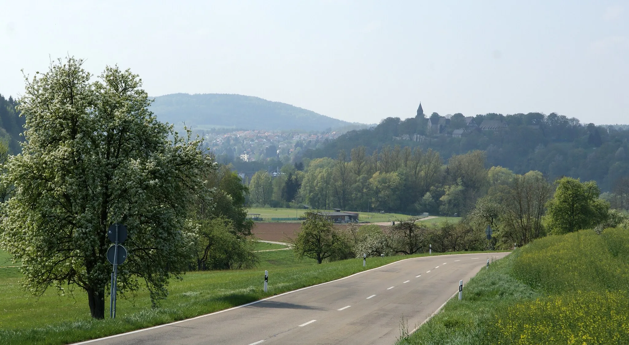 Photo showing: View of Lorch from the East. Steeple and buildings of monastery are visible on hill at right.