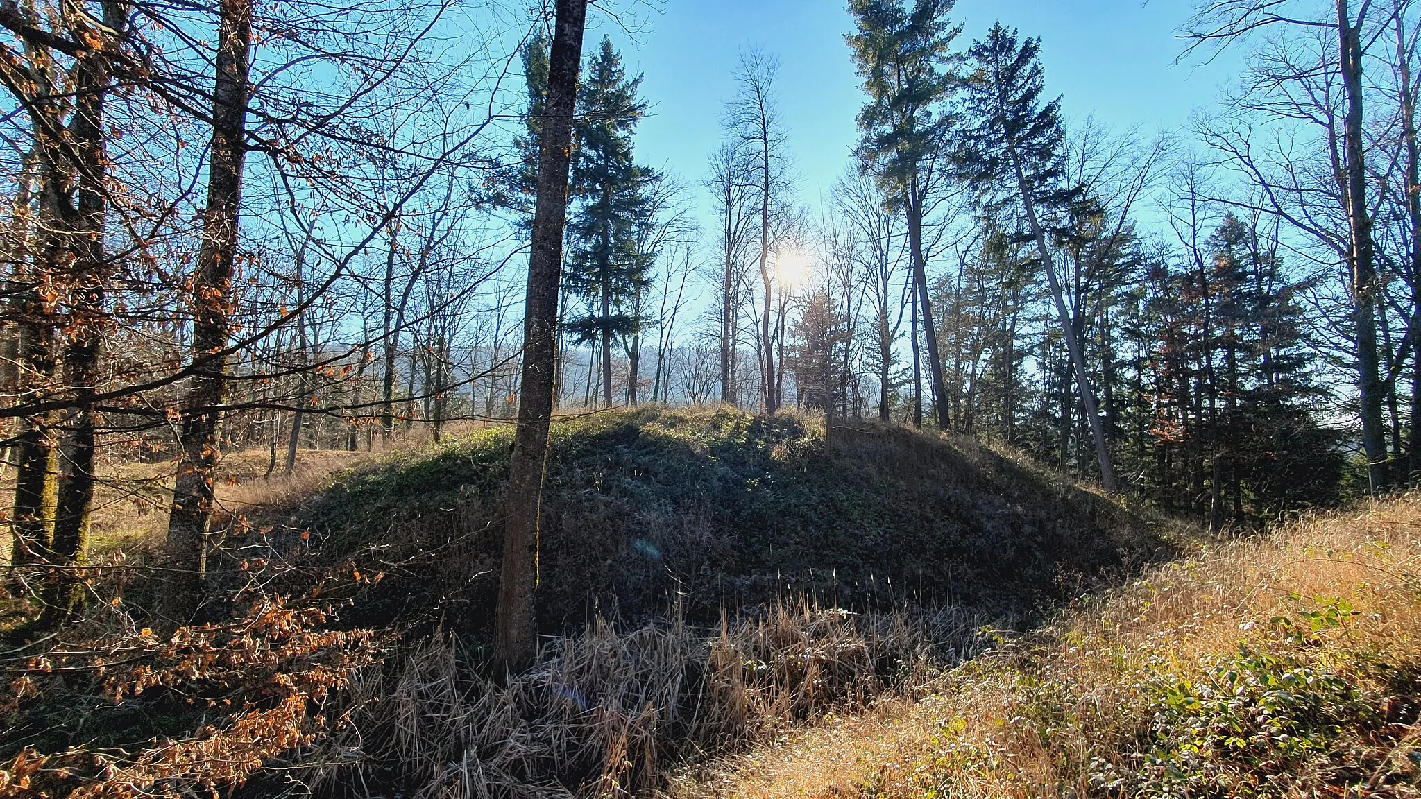 Photo showing: Medieval motte