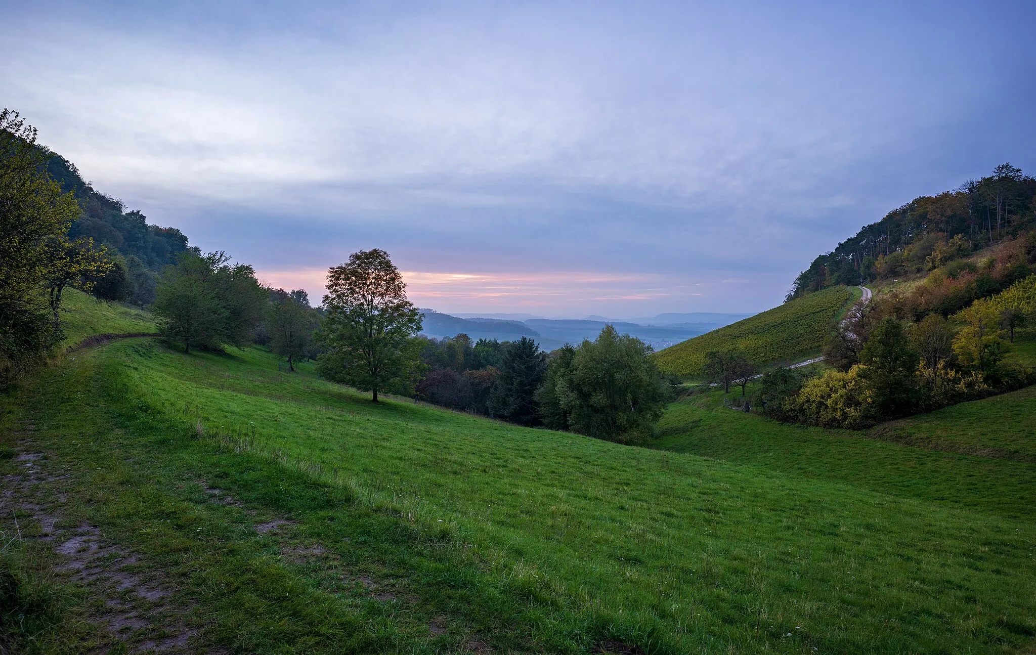Photo showing: Löwenstein, Germany: a small side valley east of Löwenstein Castle and of the cemetery, with meadow orchards and vineyards. Photo taken at an evening in autumn shortly after sunset.