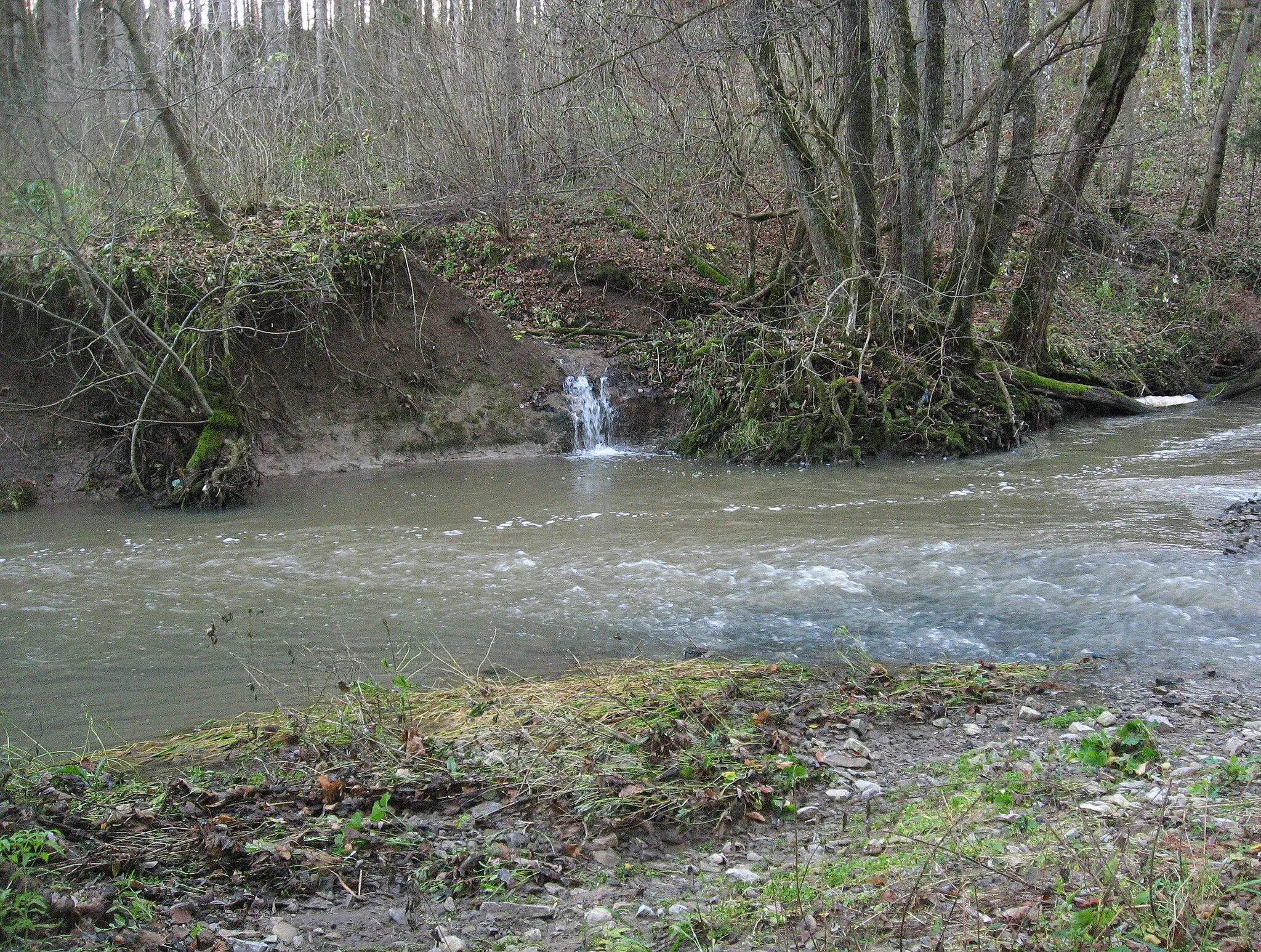 Photo showing: Mündung des Hambachs (auch: Hahnbach) in die Bühler wenig unterhalb des Steinbruchs Obersontheim-Ummenhofen.
