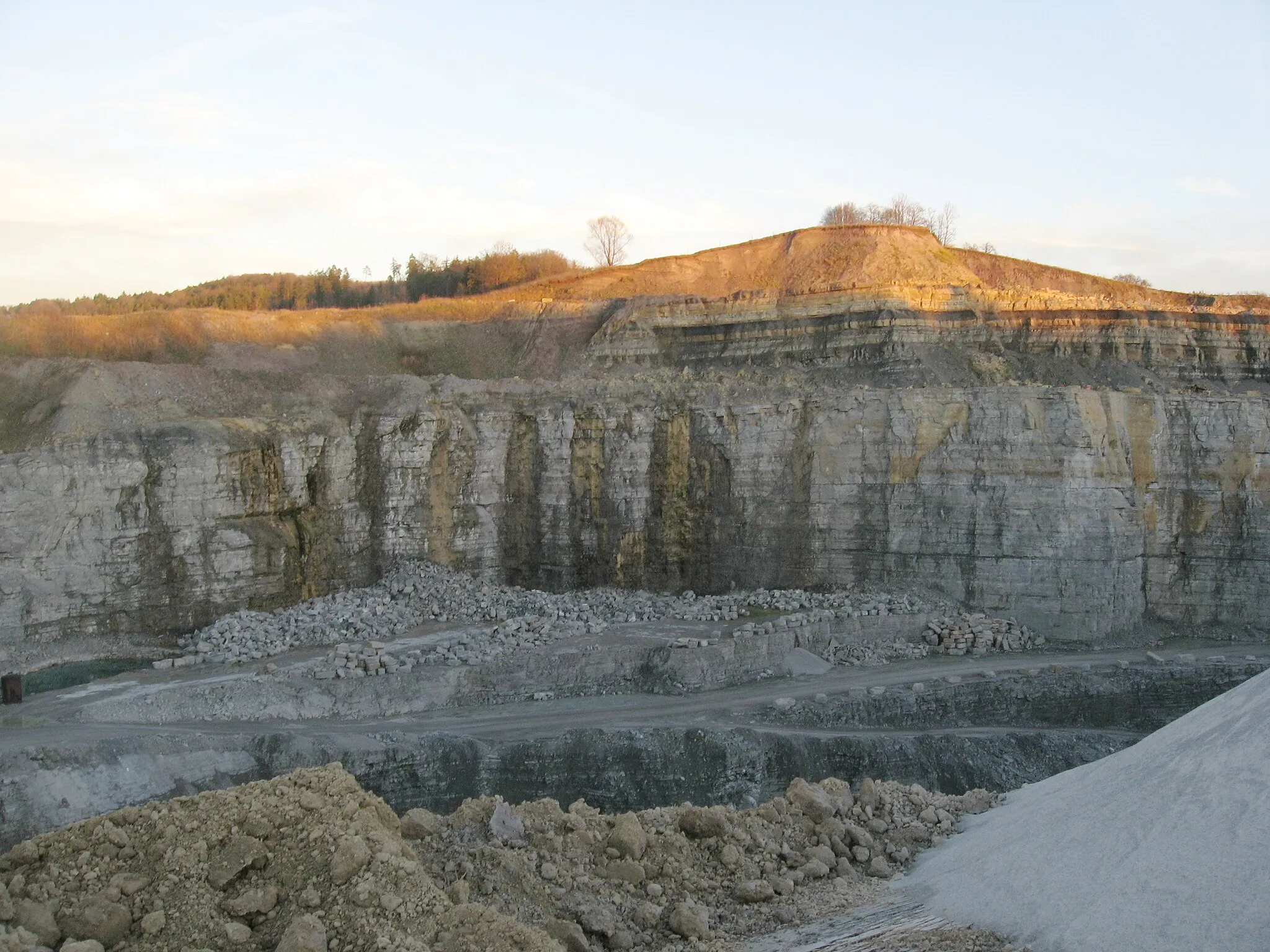 Photo showing: Steinbruch im Oberen Muschelkalk südlich von Vellberg-Eschenau. Der Abbau geht auf den Oberen Muschelkalk, dem – an den signifikanten schwarzen Streifen kenntlich – Lettenkeuper aufliegt. Diese Schicht bricht unterhalb des blattlosen Baumes in der oberen Mitte des Bildes längs einer nach links hin fallenden Linie ab, es folgt auffällig brauner Gipskeuper. Die linke (nordwestliche) Scholle liegt also tiefer. Es handelt sich um die sogenannte Vellberger Störung.