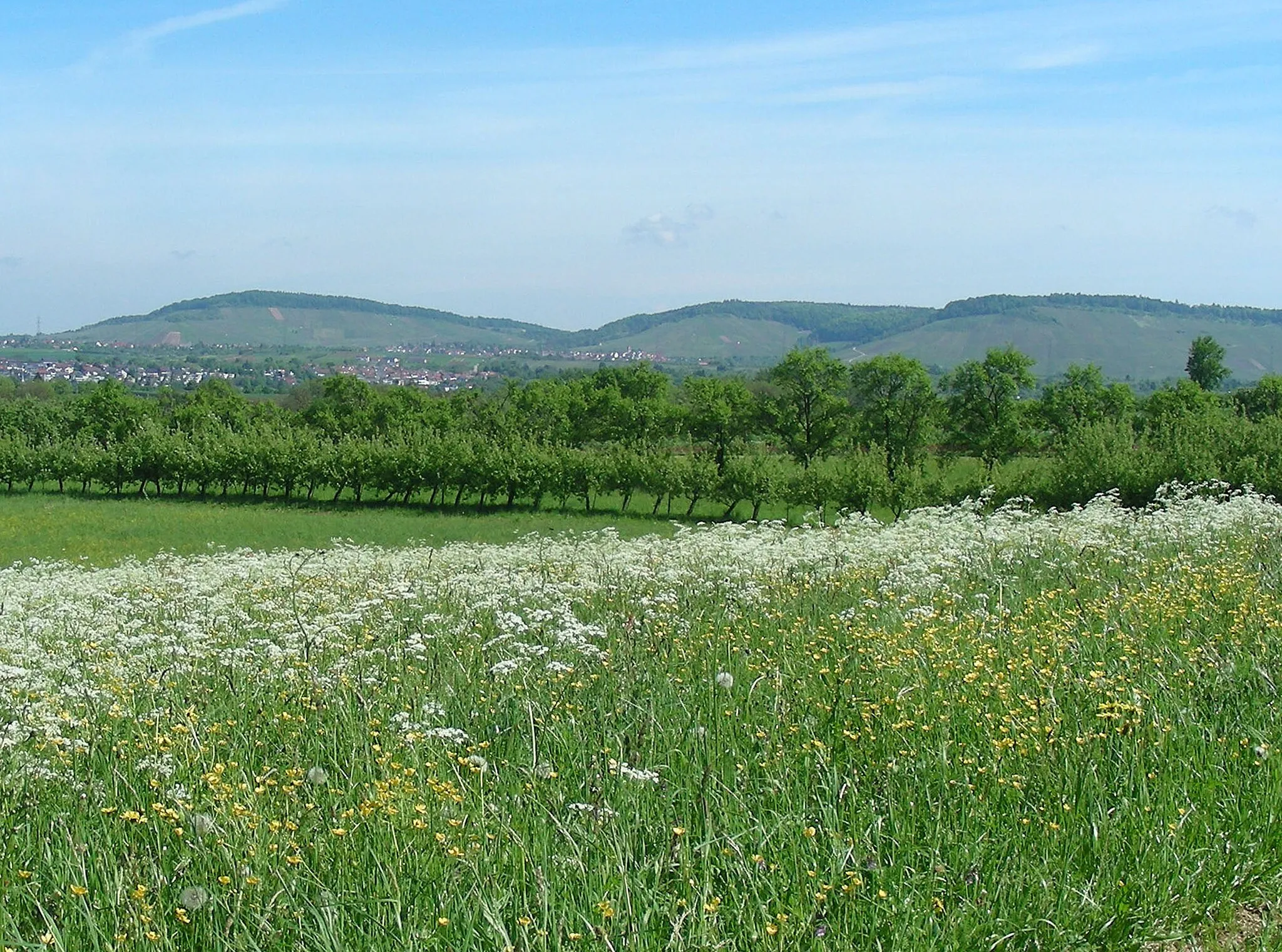 Photo showing: Korber-, Hörnles-, Kleinheppacher Kopf (am Horizont)