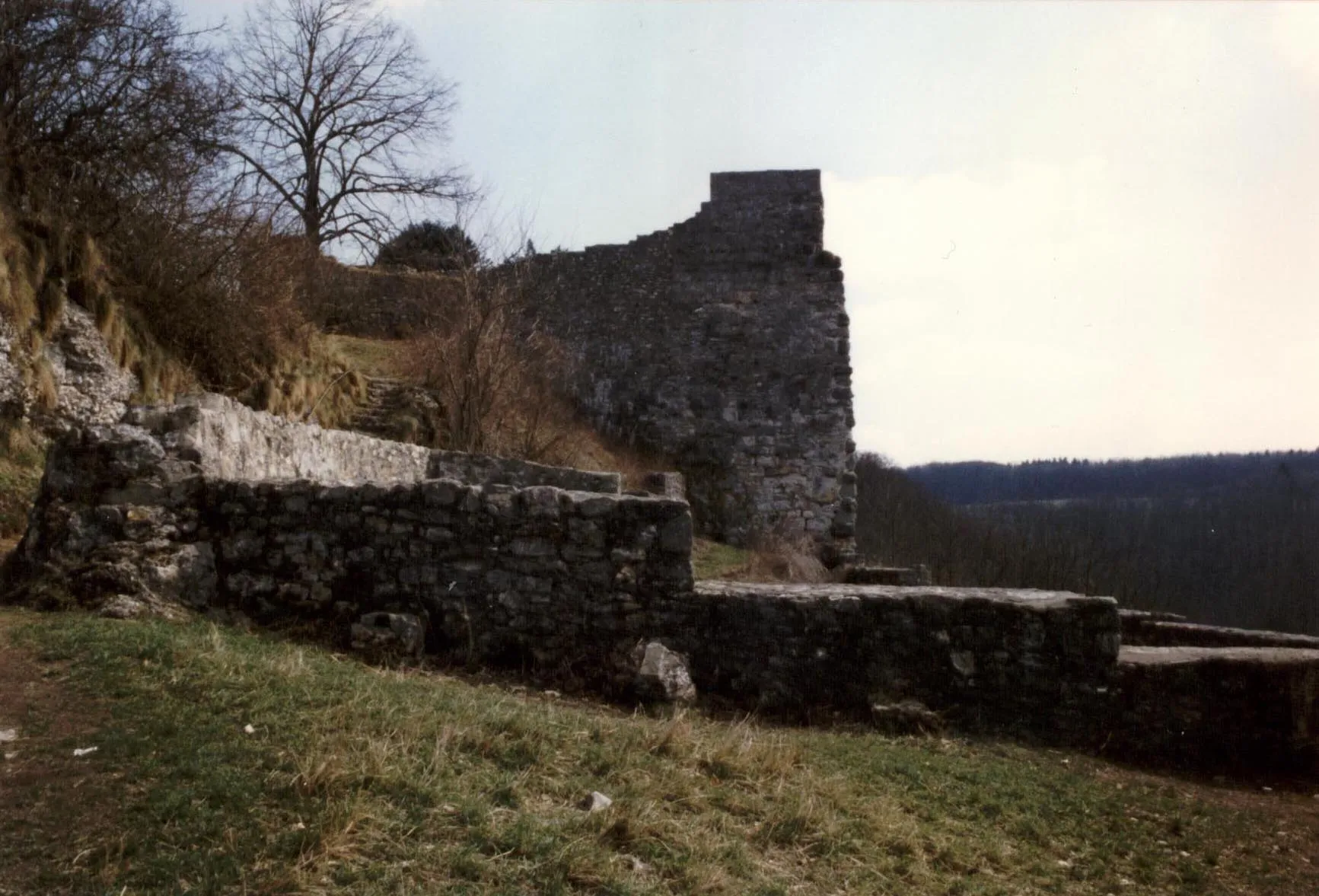 Photo showing: Burg Hohenwittlingen, Innenseite der Schildmauer