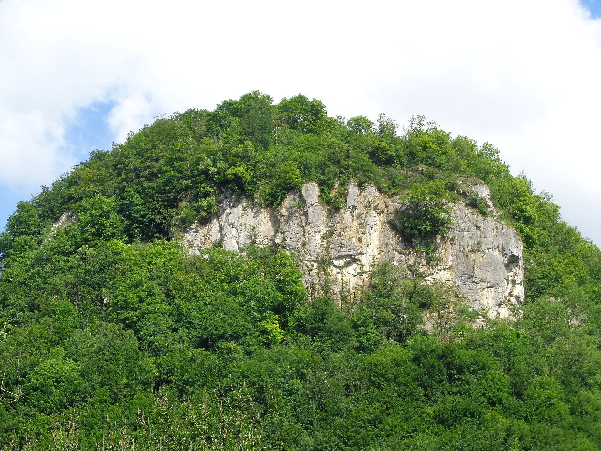 Photo showing: Flächenhaftes Naturdenkmal: Rechter Wittlinger (84150780070);
Geotop: Rechter Wittlinger und Steffesloch (Geotop-ID ND8415074);
FFH-Gebiet: Uracher Talspinne (7522341);
Biosphärengebiet Schwäbische Alb (Schutzgebiets-Nr. 1);

zwischen Bad Urach, Wittlingen (Bad Urach) und Seeburg (bei Urach)