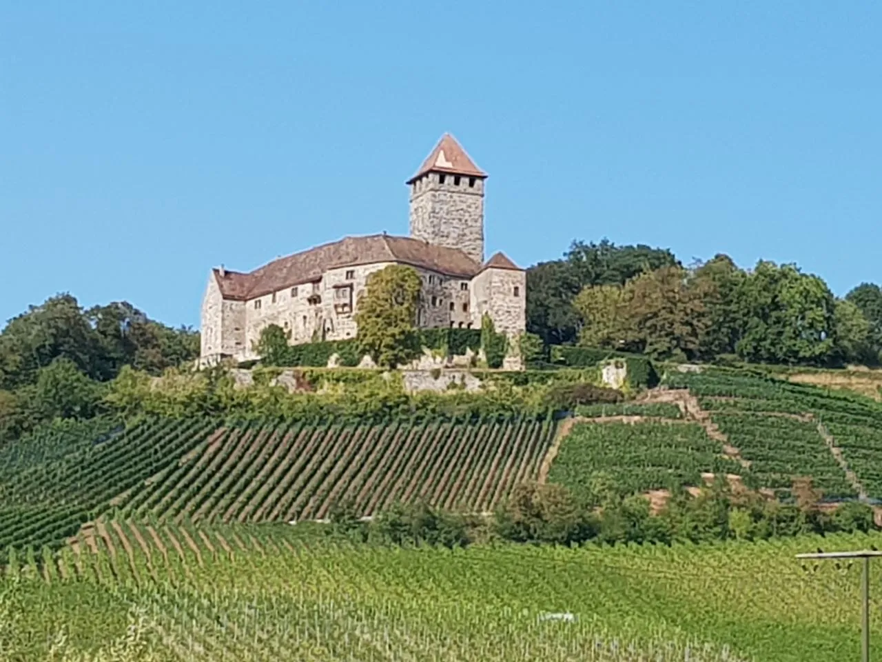 Photo showing: Die Stauferburg wurde 1197 erstmals urkundlich erwähnt.