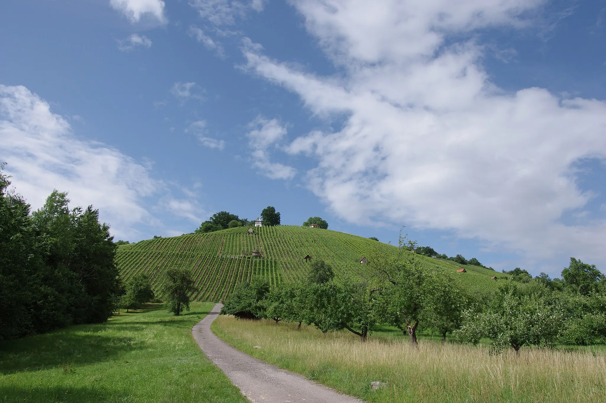 Photo showing: Grafenberg, Schorndorf, Baden-Württemberg. Der Grafenberg befindet sich im Landschaftsschutzgebiet Zipfelbachtal, Korber Kopf, Buocher Höhe, Remstalhänge, Ramsbachtal und Grafenberg.