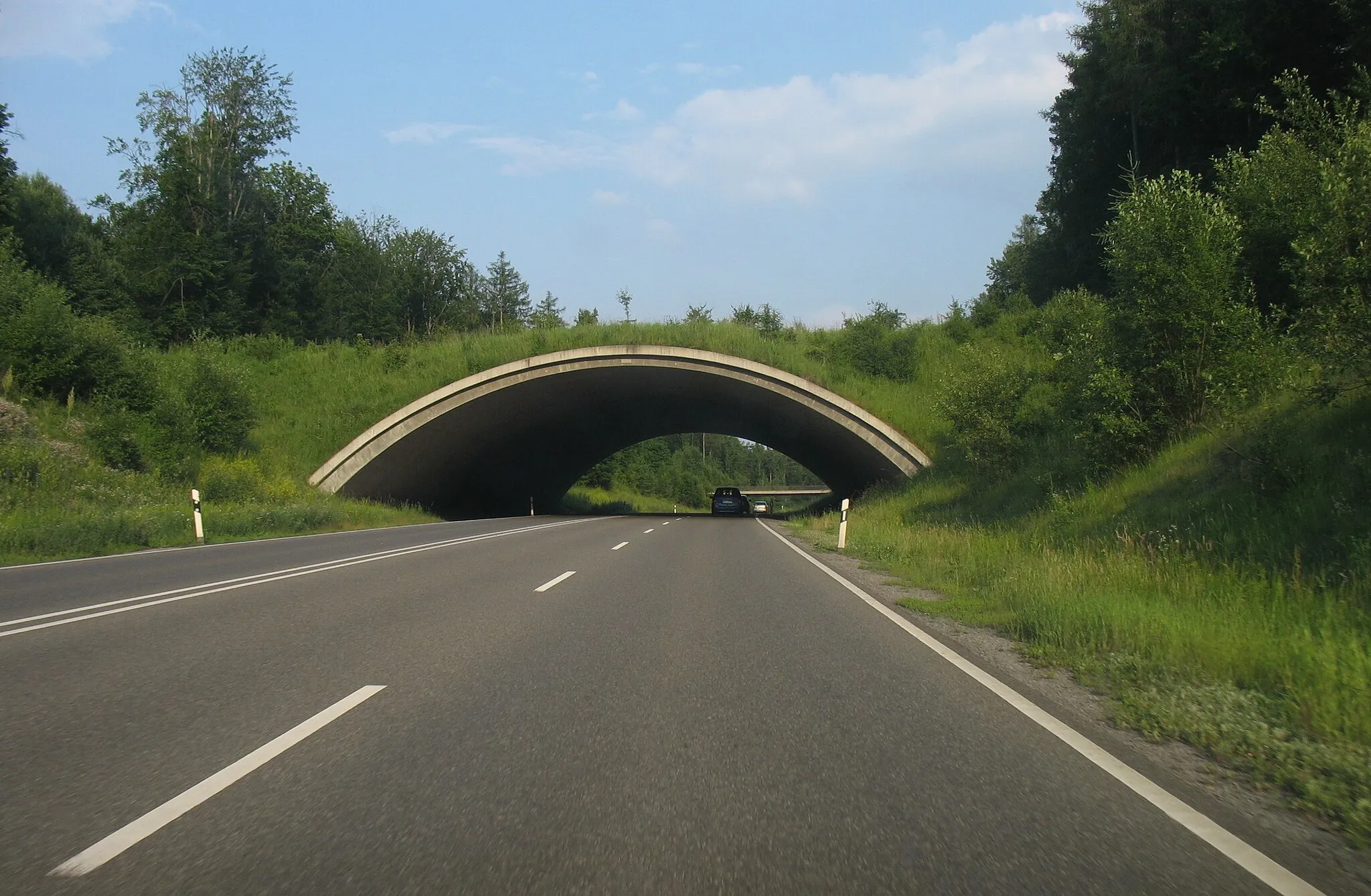 Photo showing: Grünbrücke über die Bundesstraße 464 bei Böblingen.