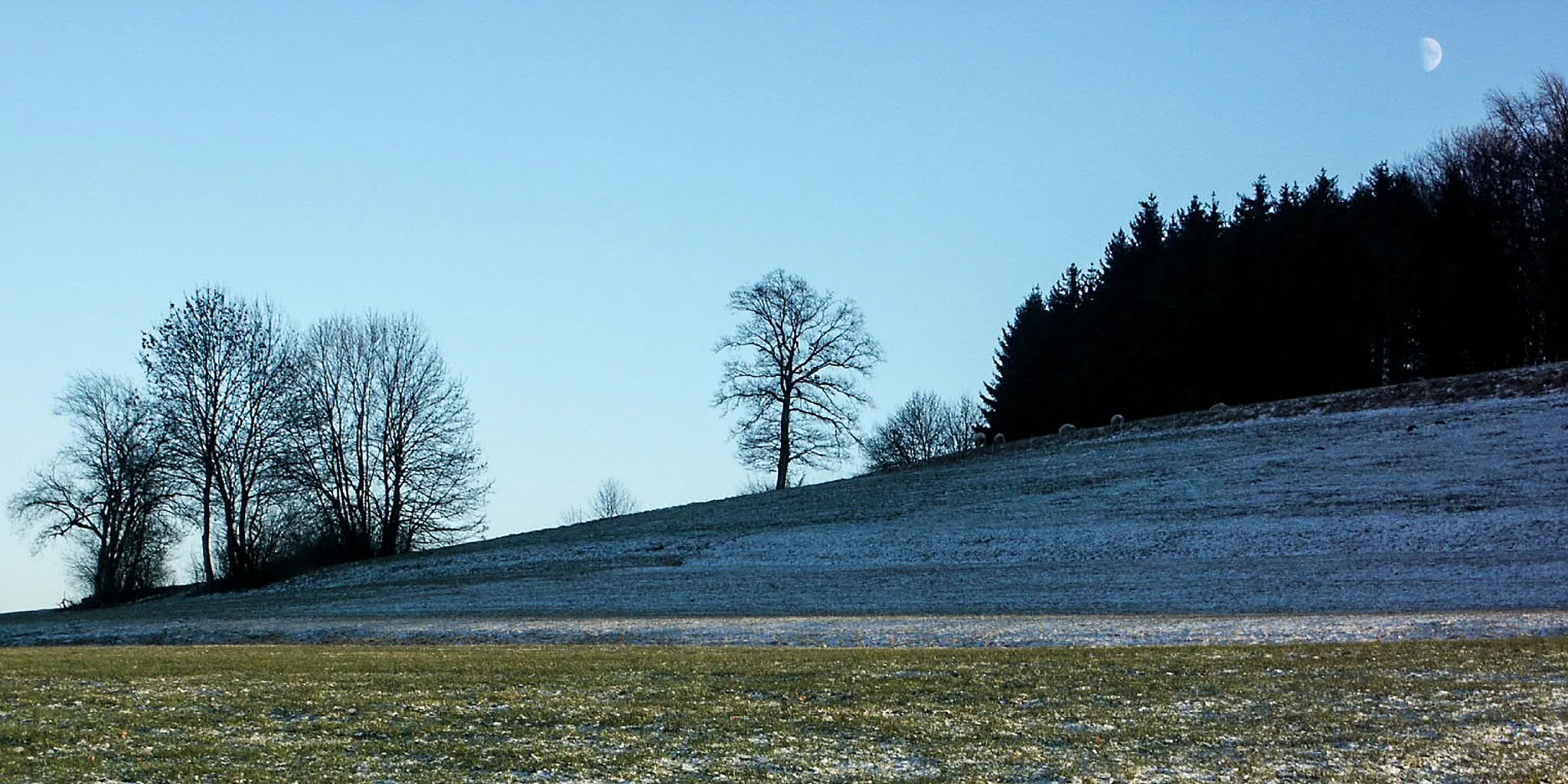 Photo showing: Im Schatten des Waldes bleiben Schnee und Rauhreif liegen.