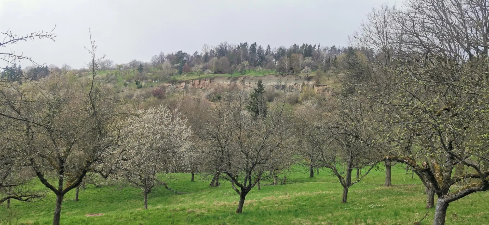 Photo showing: 100 Grundstücke waren im April 2001 direkt betroffen. Natur gibt, Natur nimmt, um wieder zu geben.