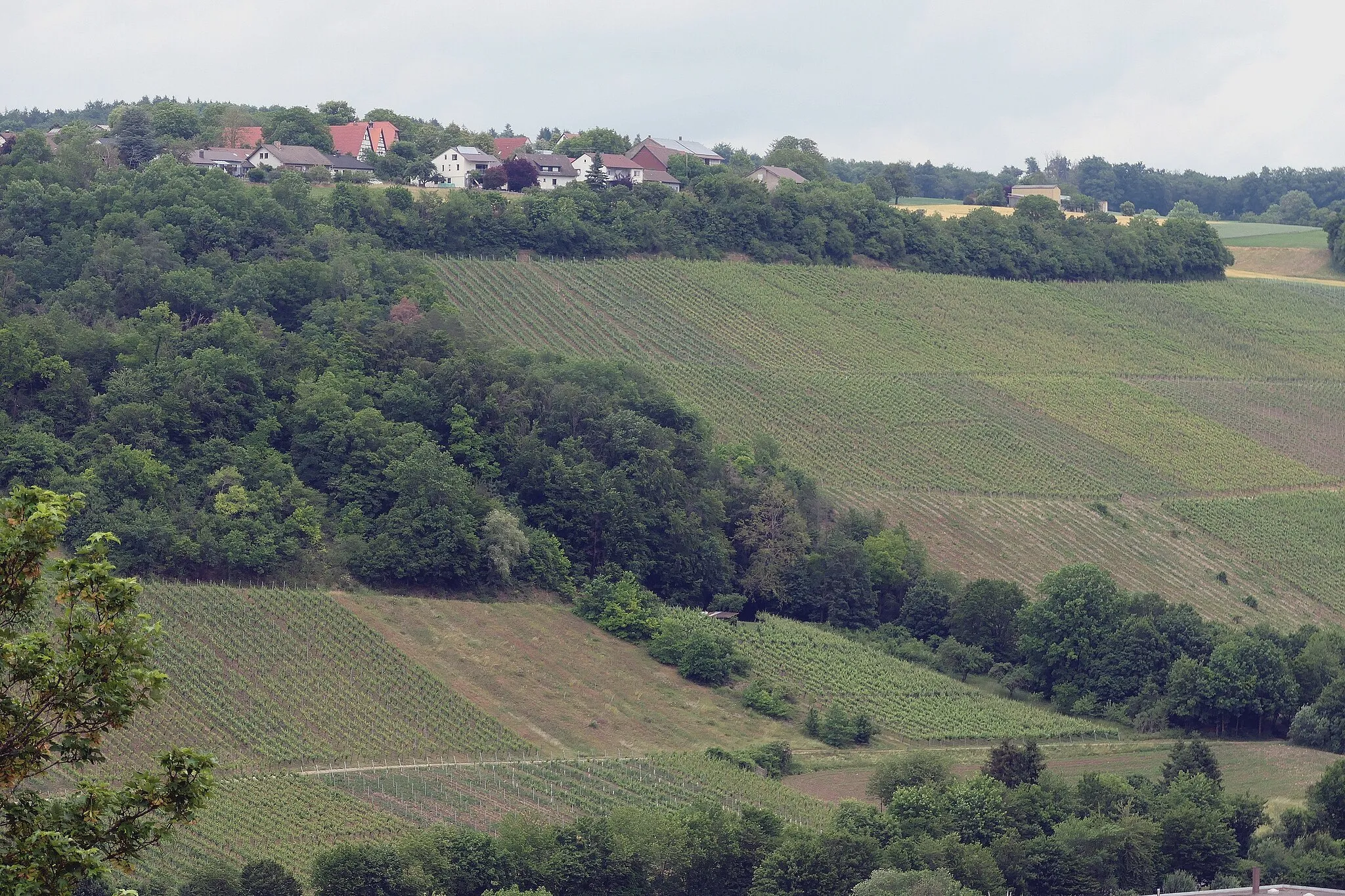 Photo showing: Das Weiler Büschelhof nordöstlich Forchtenberg, an Hangkante zum Kochertal, Ansicht aus Südwesten von der Burgruine Forchtenberg; Juni 2020