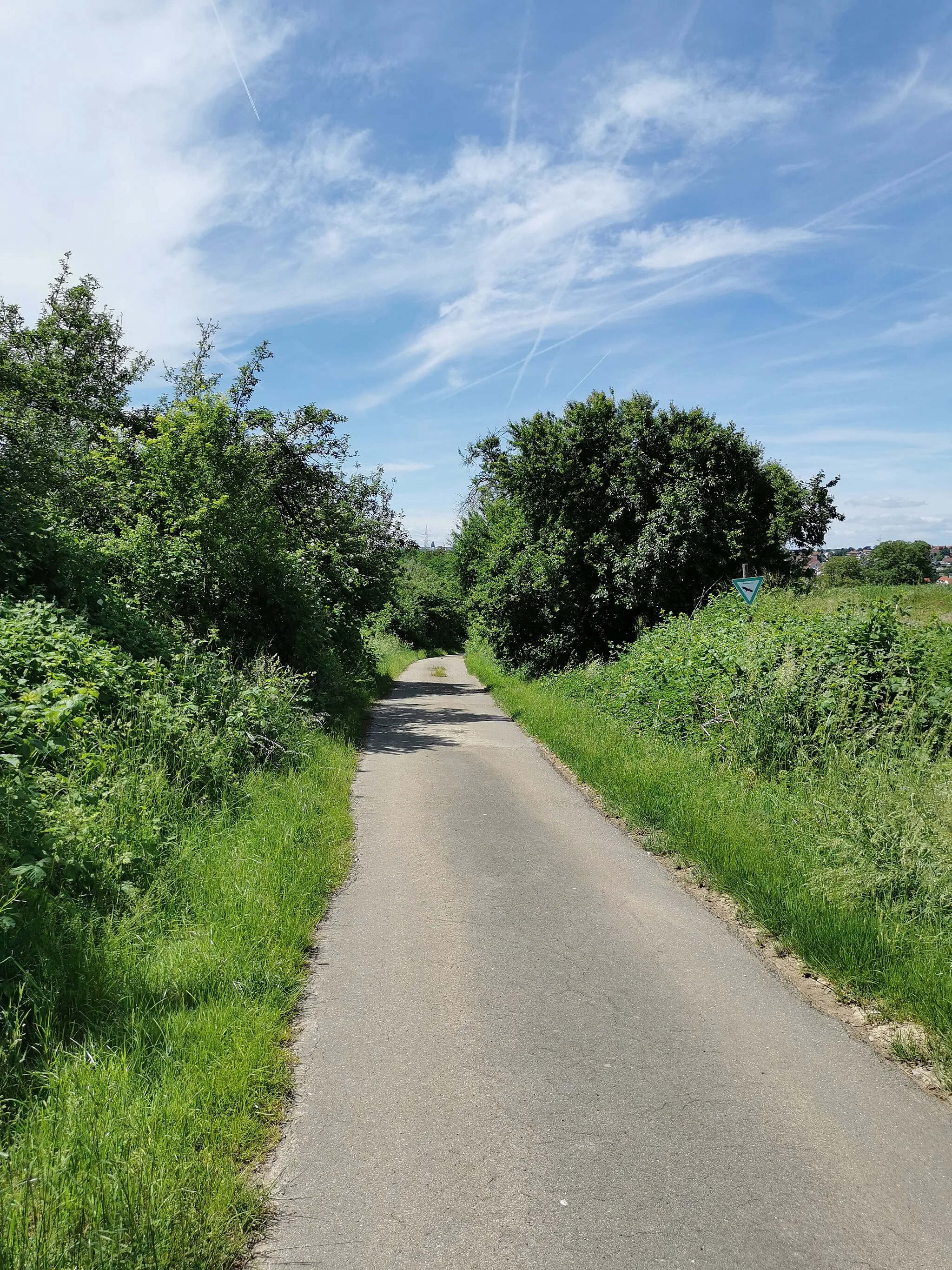 Photo showing: Naturdenkmal, Gehölz am sogenannten Postweg, Fellbach