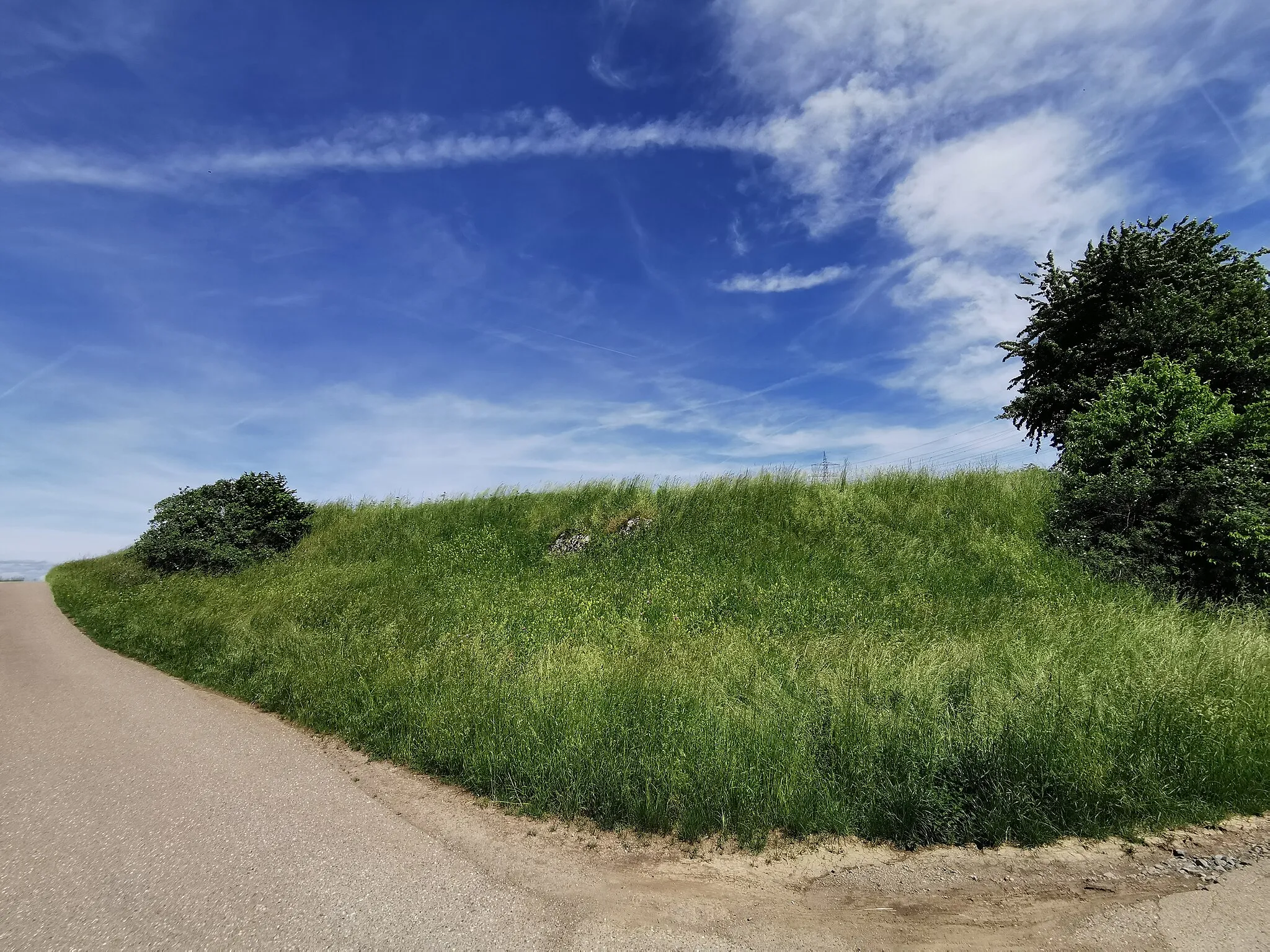 Photo showing: Naturdenkmal, Steppenheide am sogenannten Postweg, Fellbach