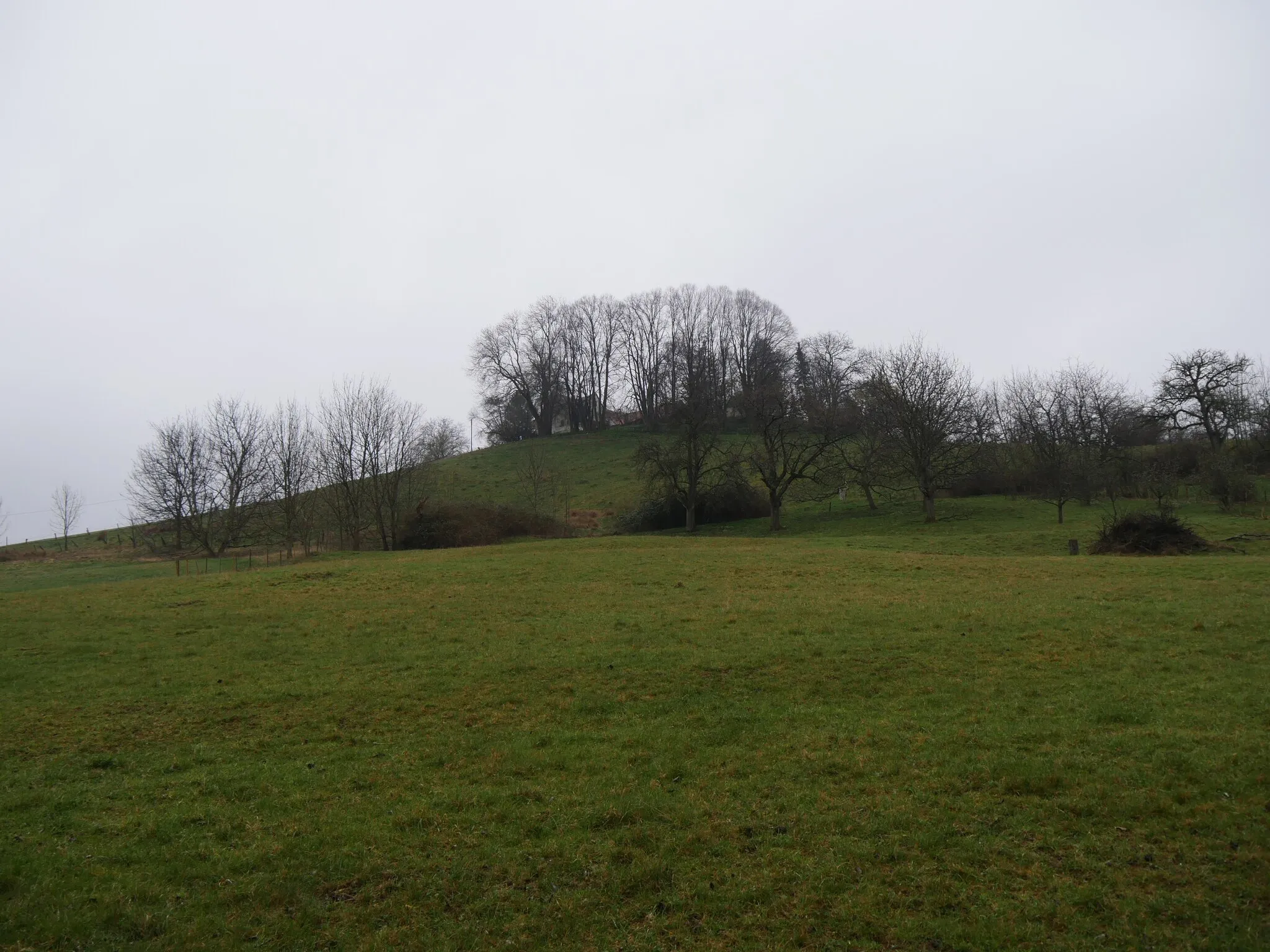 Photo showing: Burg Lotenberg