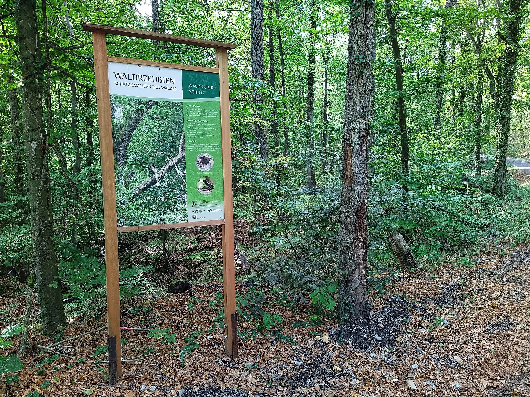 Photo showing: Schild zum Konzept der Waldrefugien im Stromberg