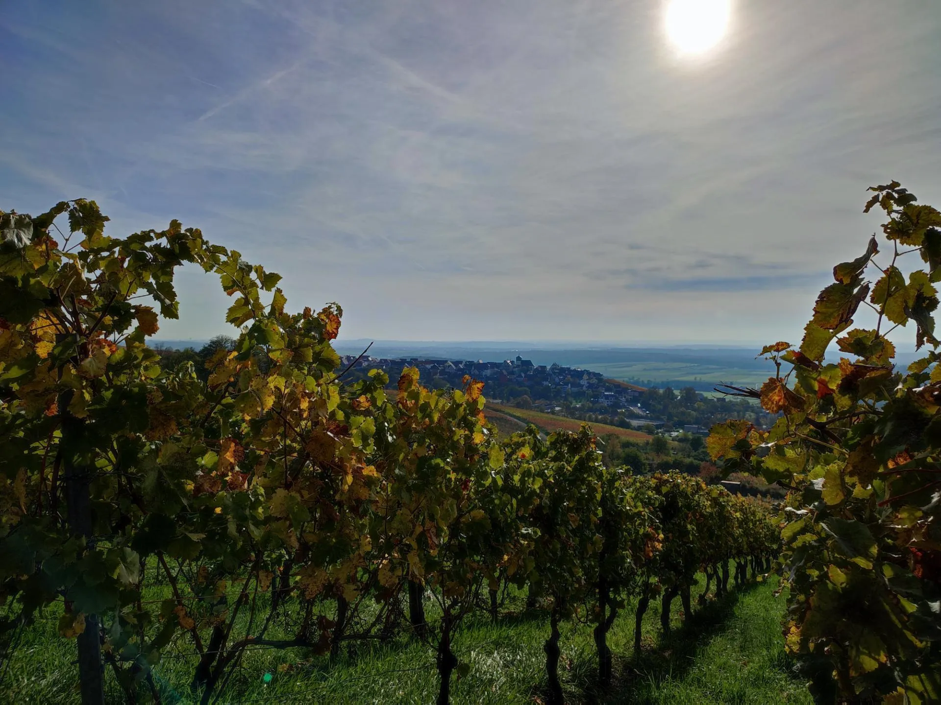 Photo showing: Herbstliche gefärbtes Weinlaub mit Blick auf den exponiert am Stromberg gelegenen Ortskern von Hohenhaslach