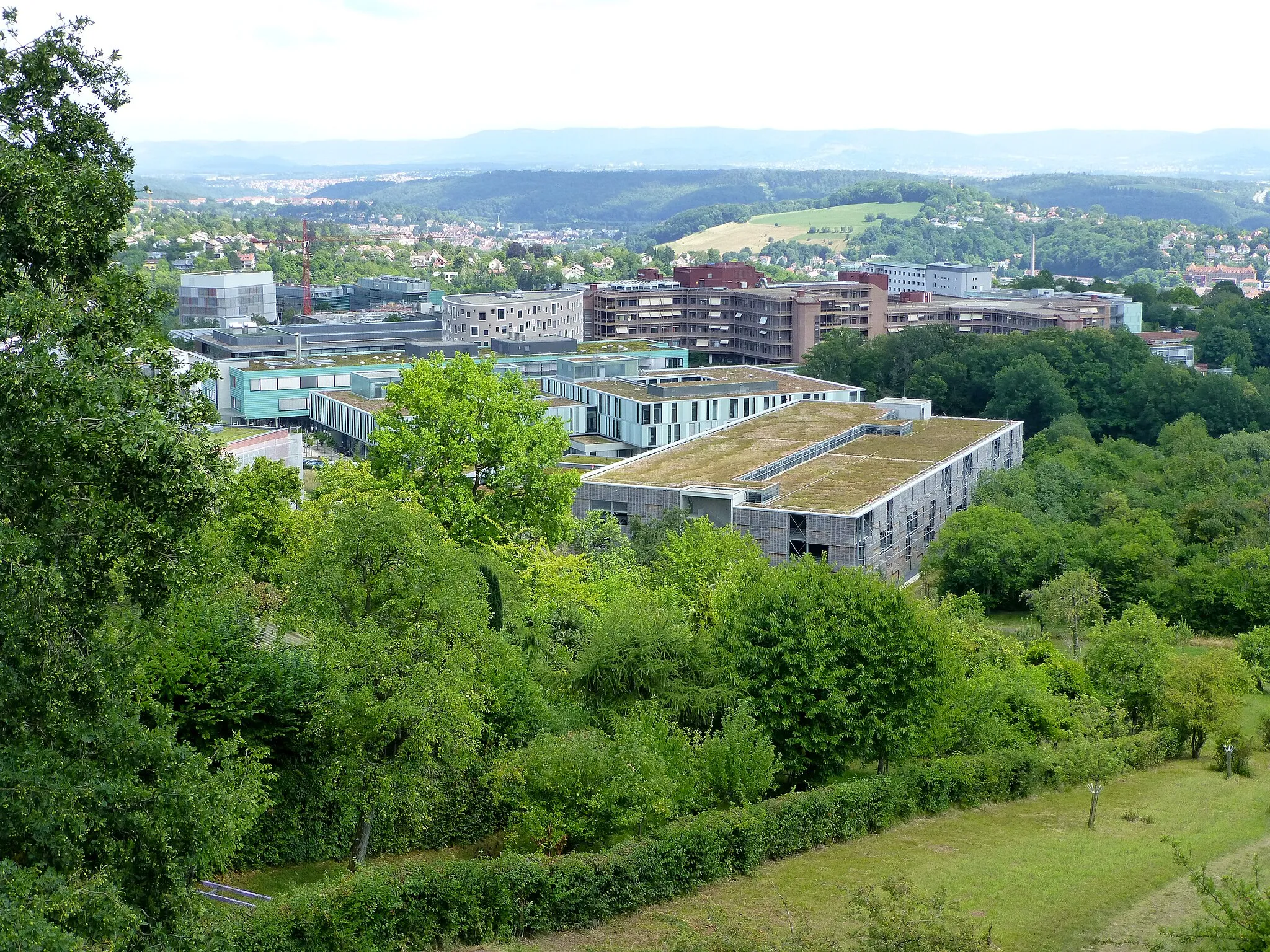 Photo showing: Tübingen. Blick vom Steinenbergturm auf das Klinikum-Berg oberhalb der Stadtmitte.